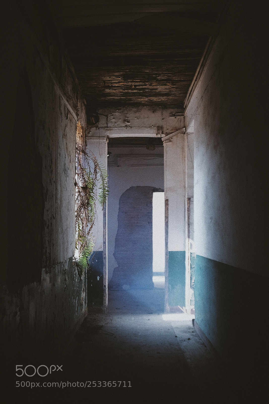 Fujifilm X100T sample photo. Untitled photography
