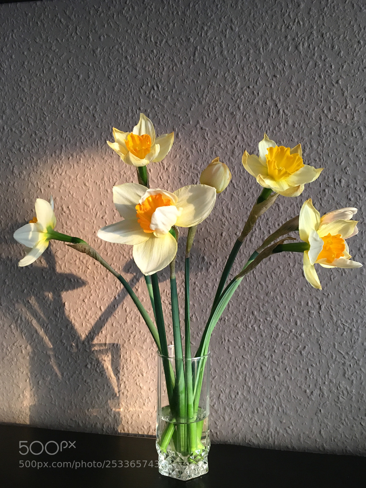 Apple iPhone 6s sample photo. In the morning light photography