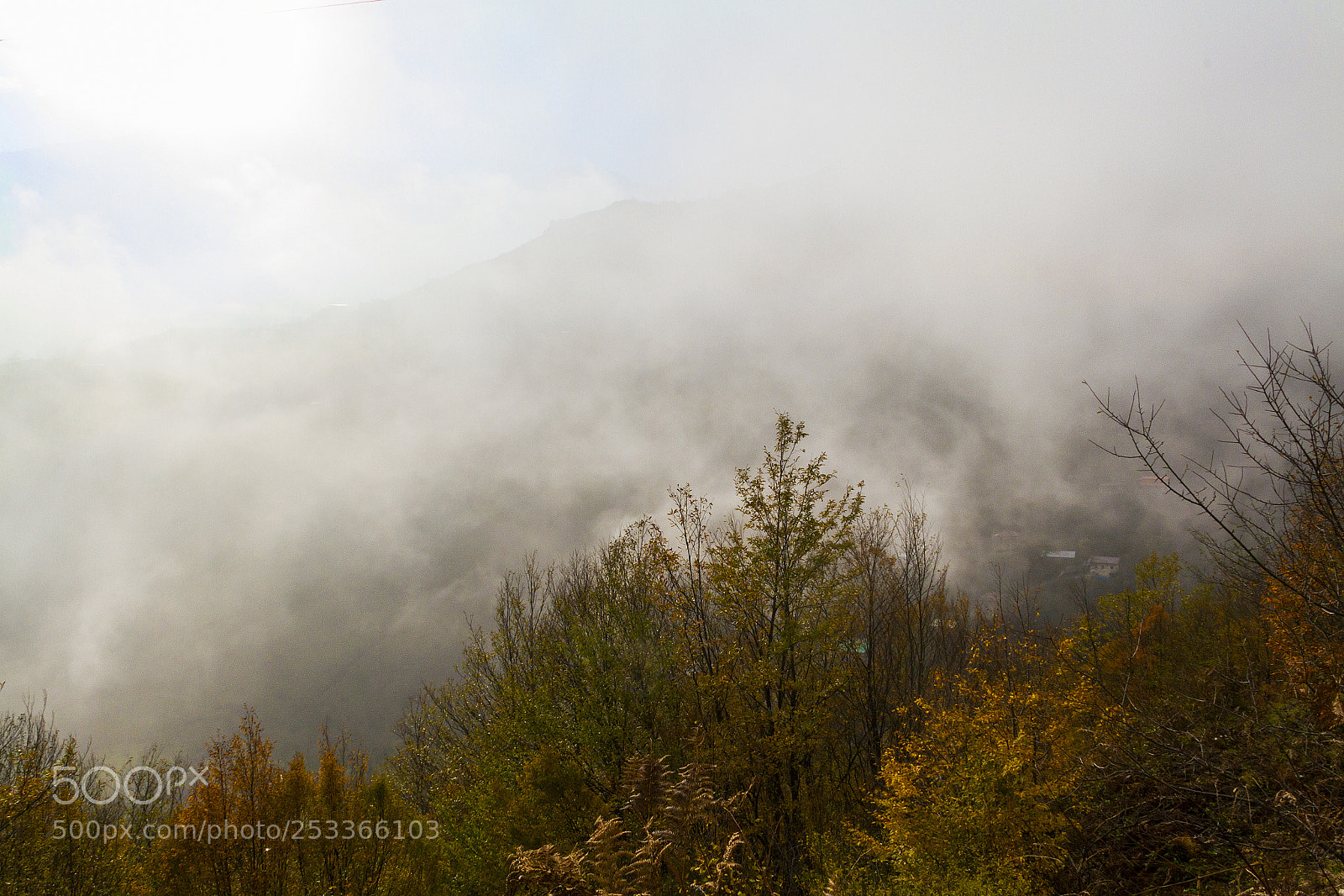 Canon EOS 7D sample photo. Jangle in cloud and photography