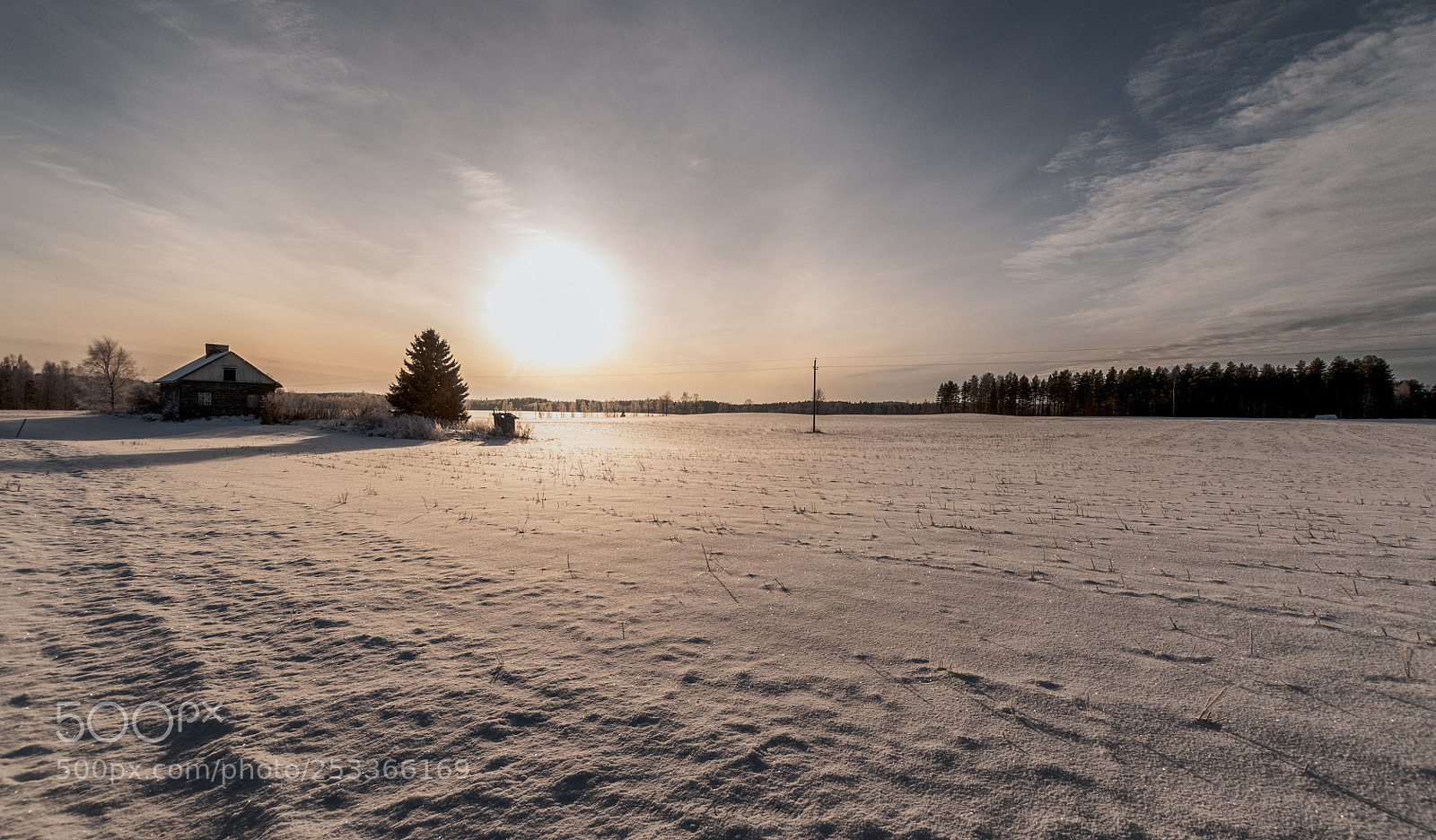 Nikon D300 sample photo. Winter field photography