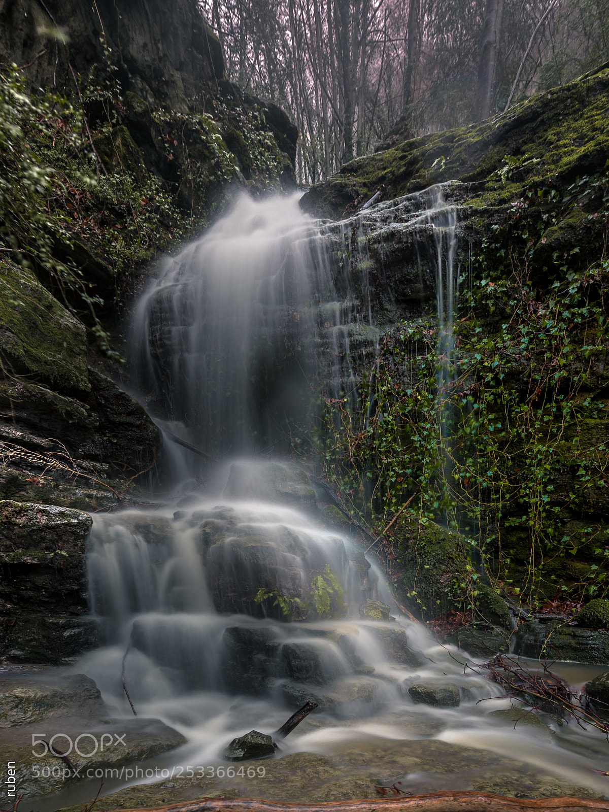 Nikon D610 sample photo. My favourite place after photography