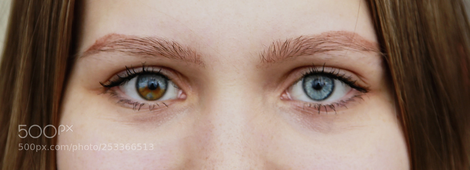 Canon EOS 600D (Rebel EOS T3i / EOS Kiss X5) sample photo. Eyes photography