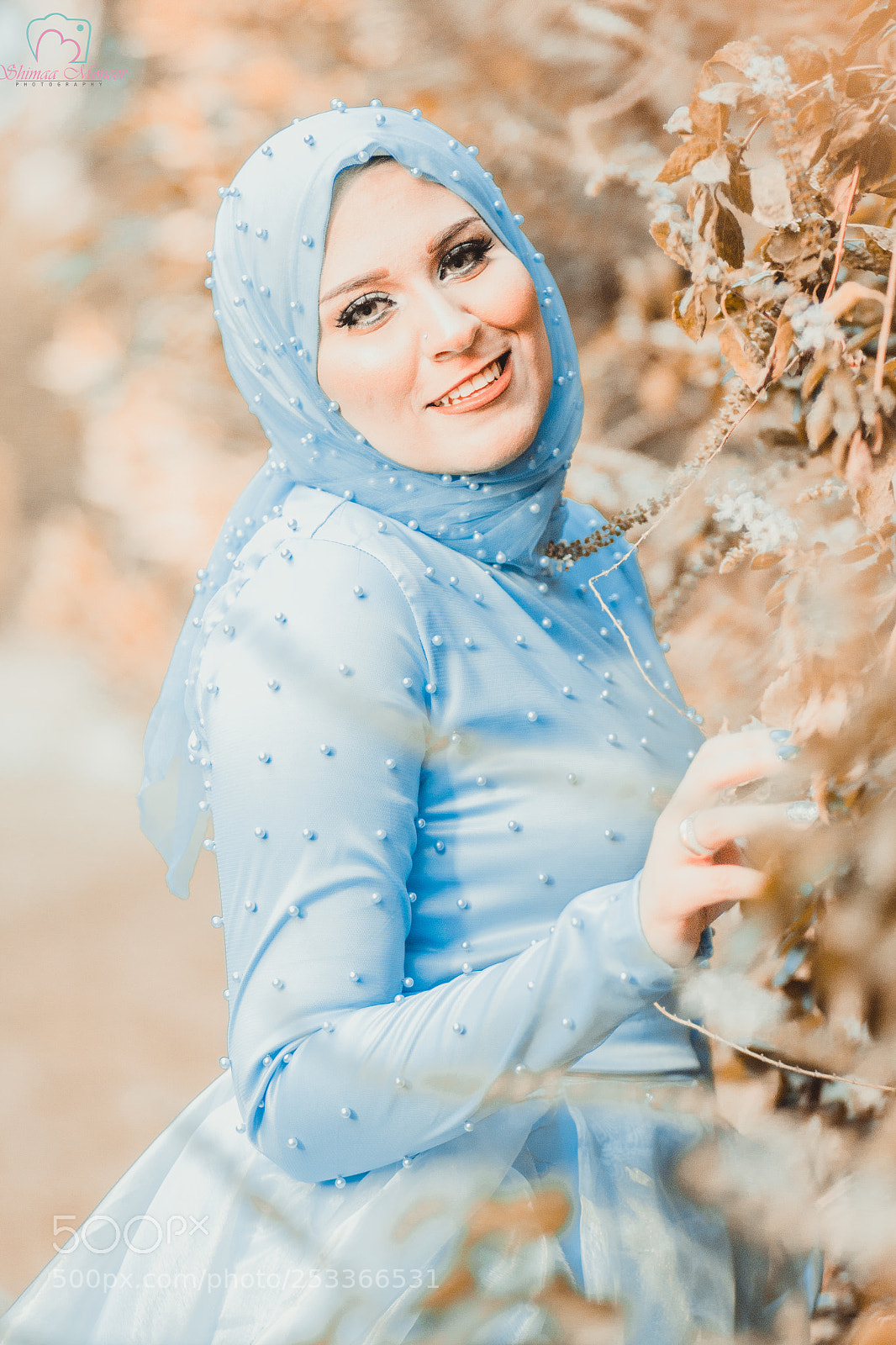 Canon EOS 70D sample photo. Untitled photography