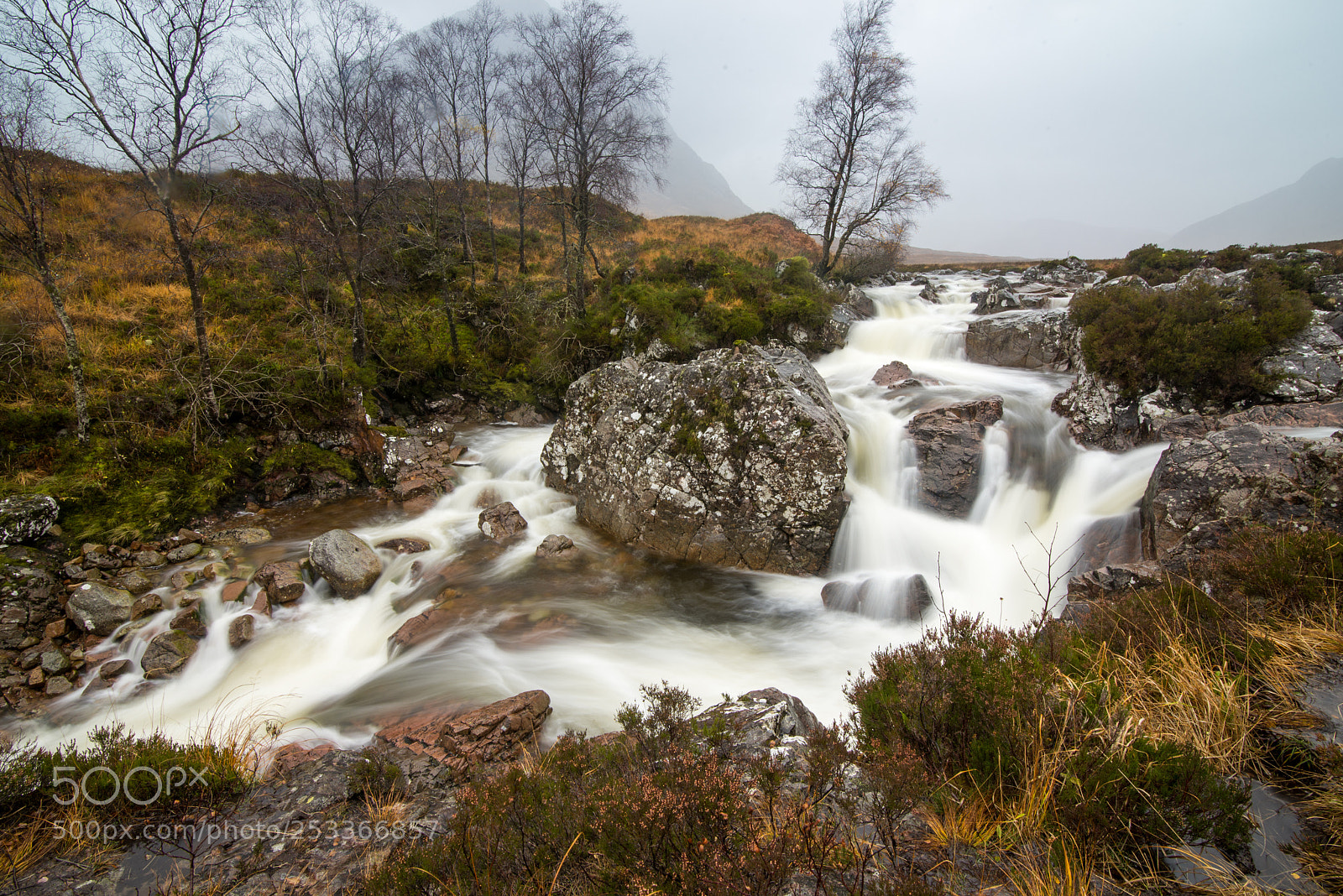 Nikon D610 sample photo. Evite mor autumn photography