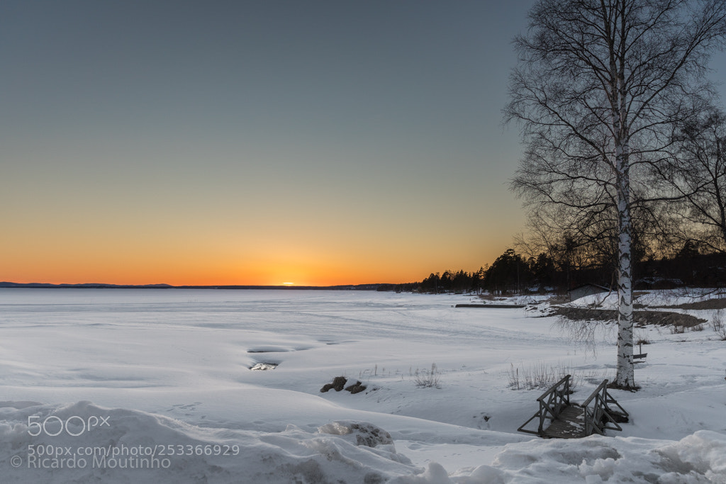 Canon EOS 5D Mark IV sample photo. Lake siljan photography