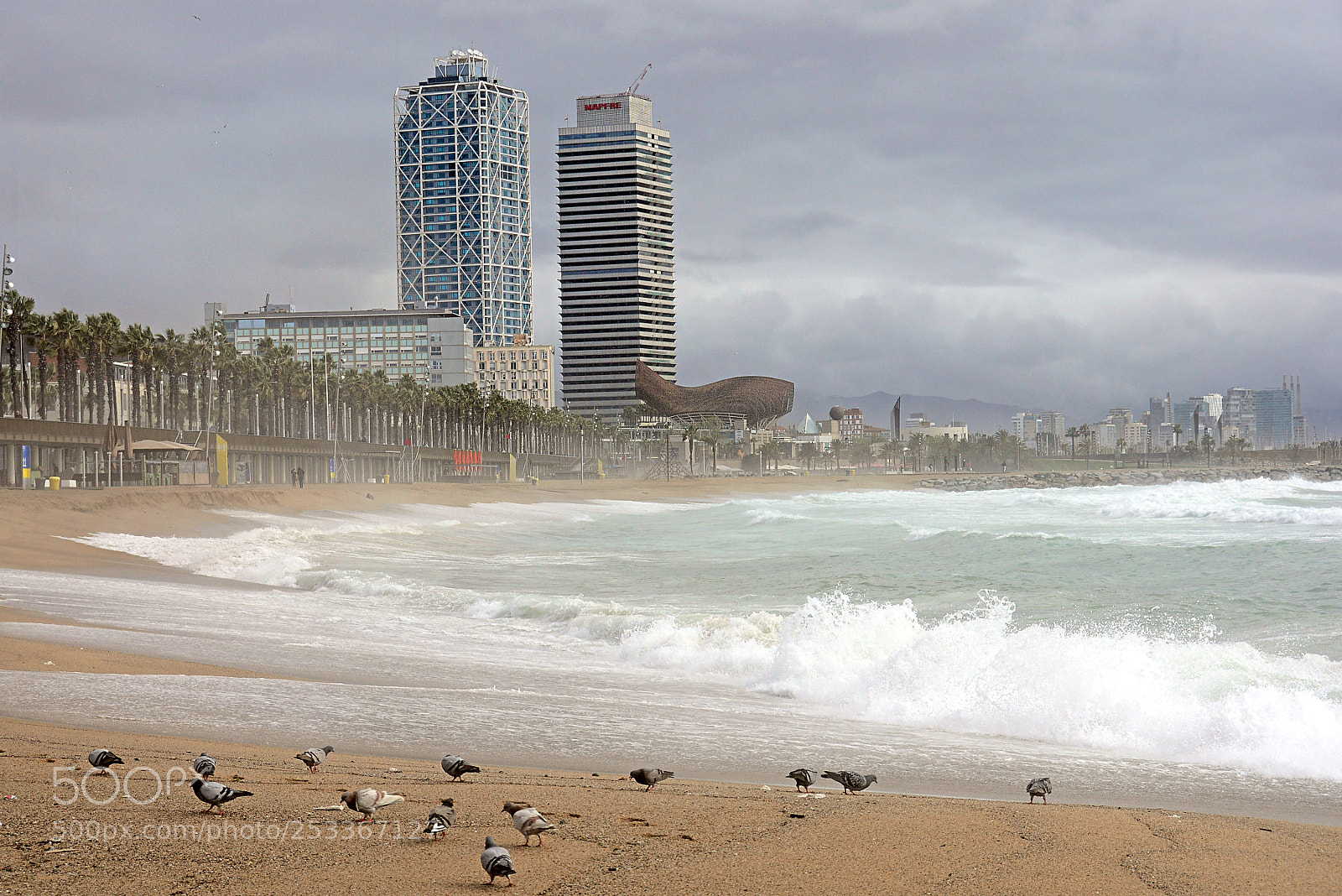 Nikon D7100 sample photo. Platja de la barceloneta photography