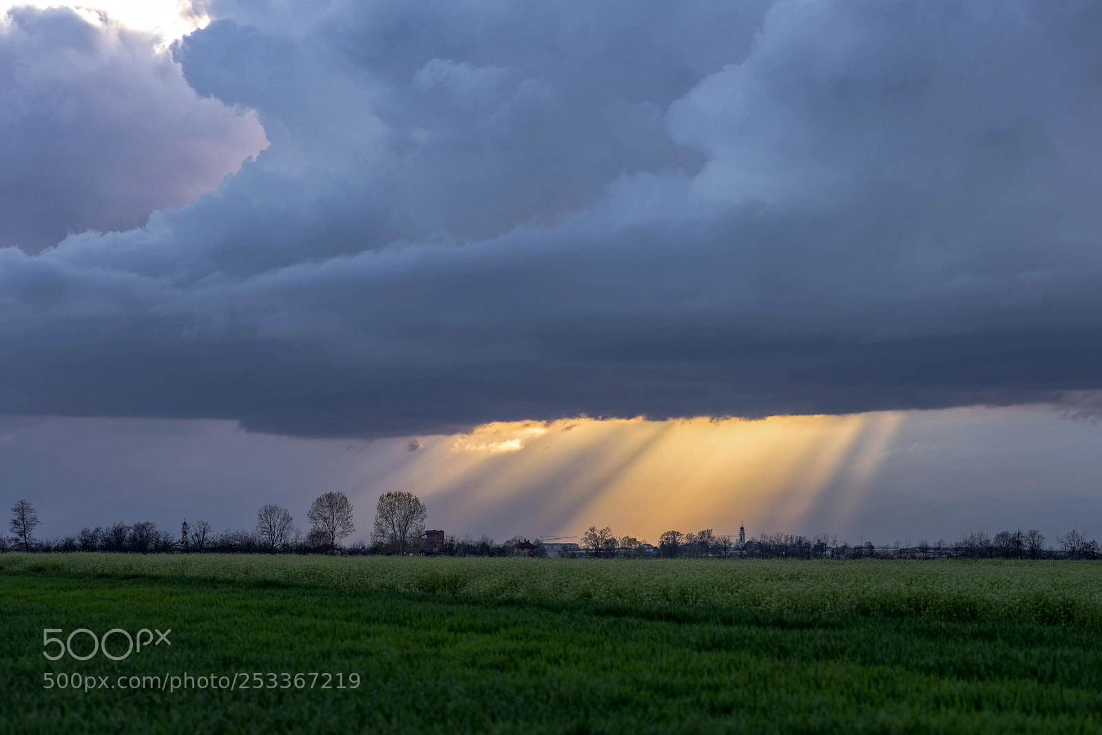 Nikon D610 sample photo. Blades of light  photography