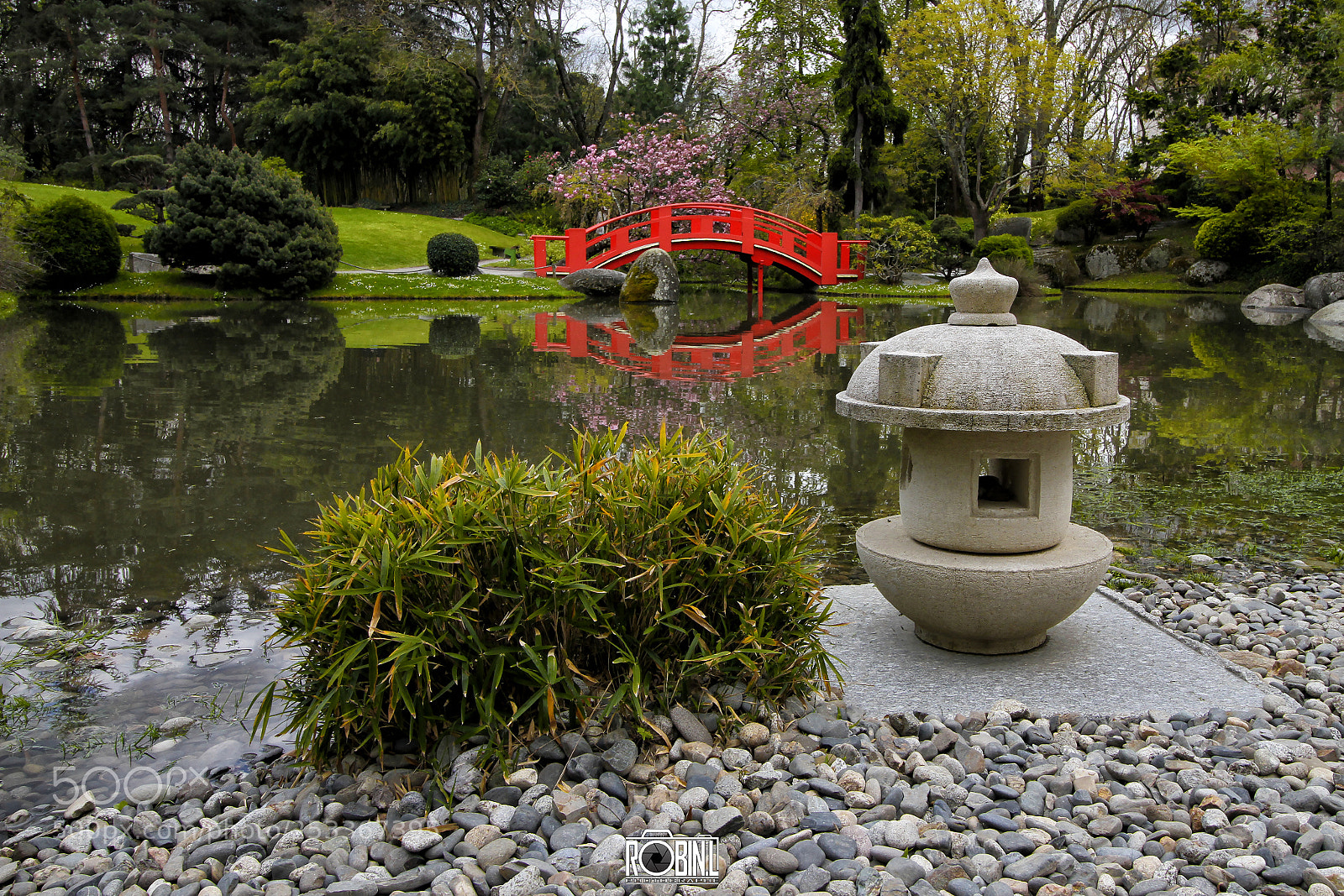 Canon EOS 7D sample photo. Red bridge, sakura and photography
