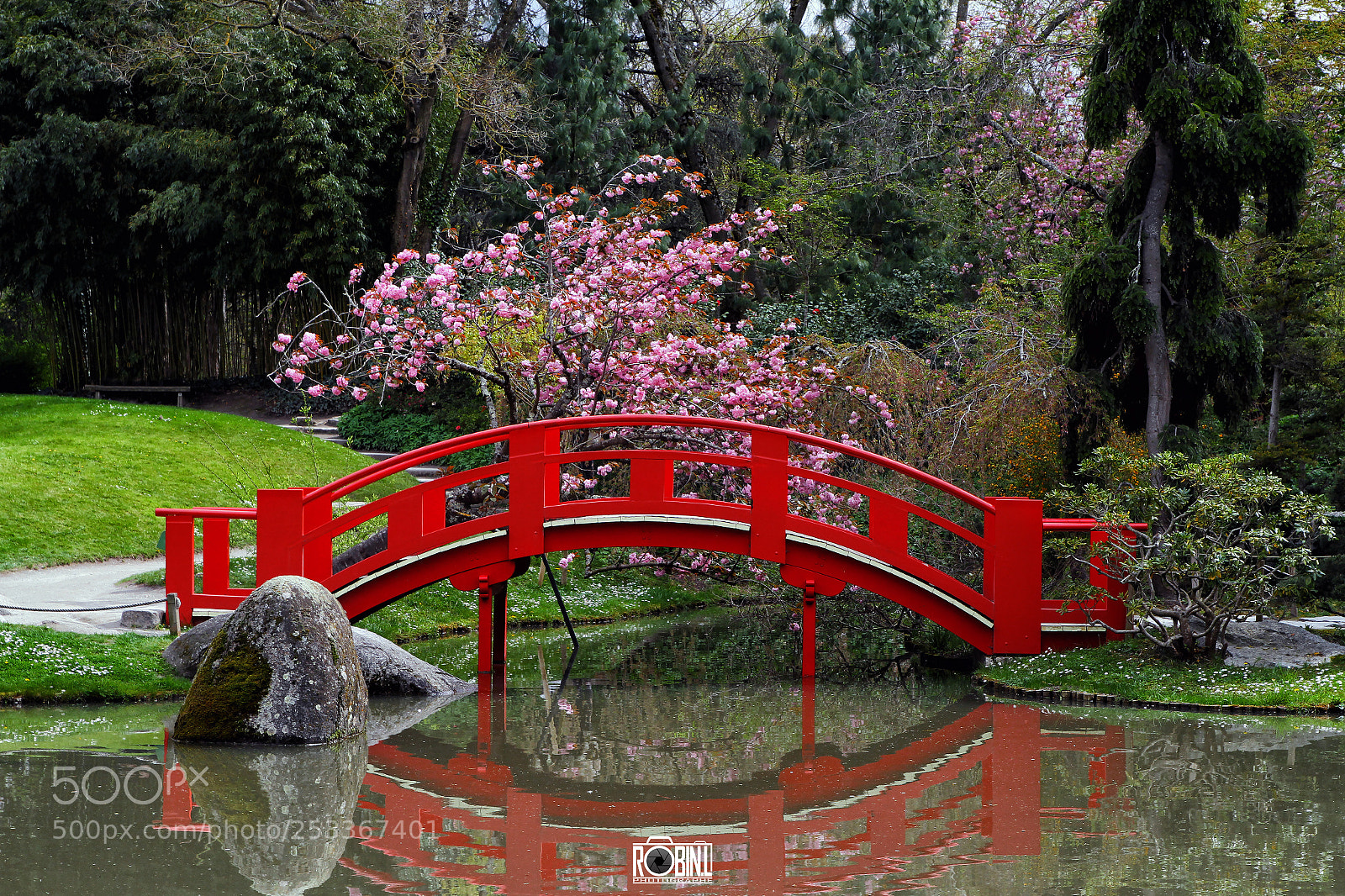Canon EOS 7D sample photo. Red bridge and sakura photography