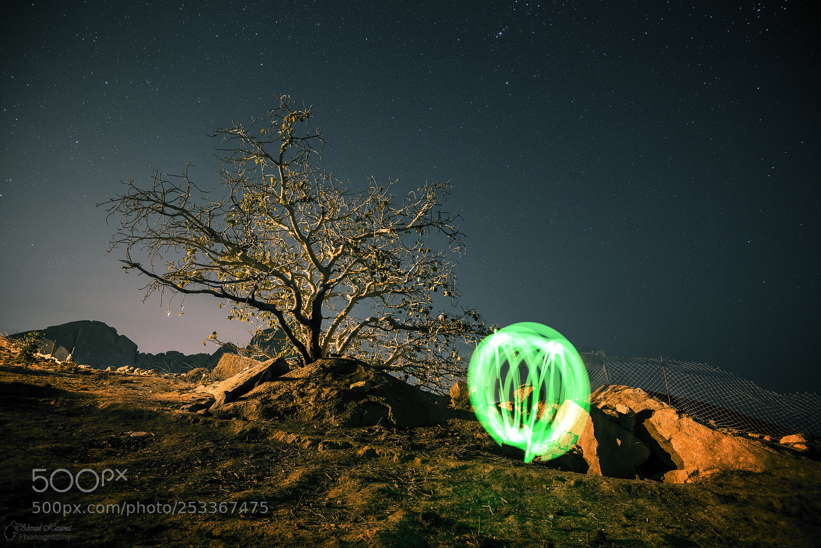 Nikon D800E sample photo. Stars photography
