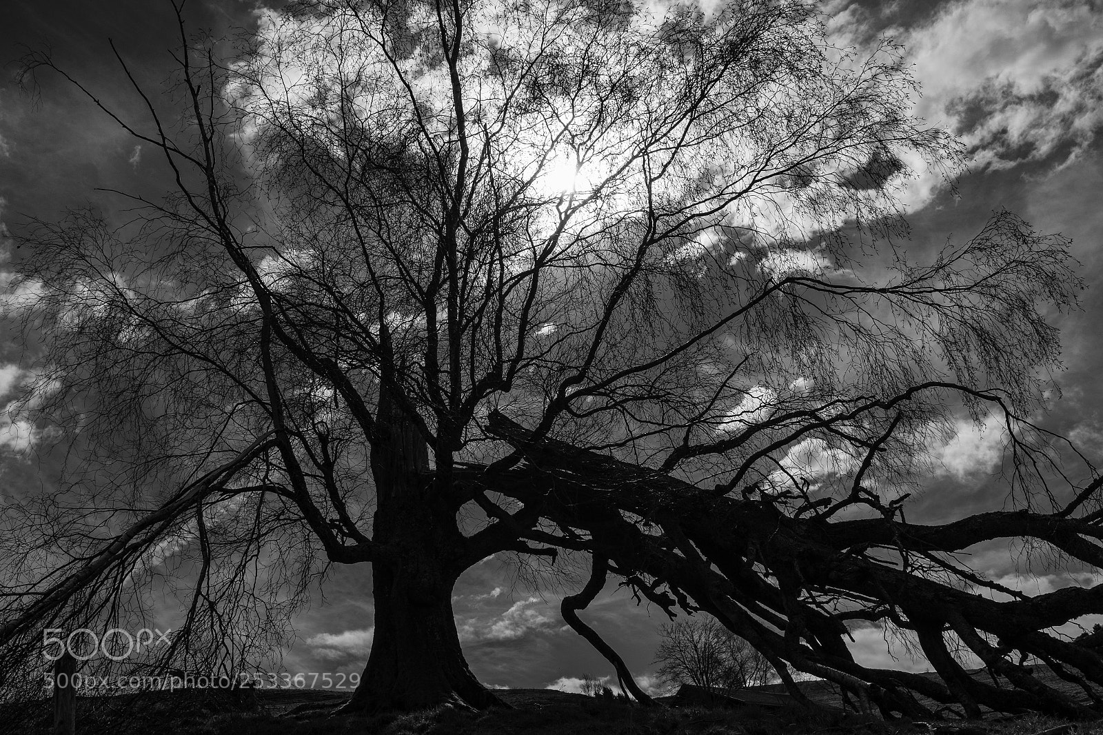 Fujifilm X100S sample photo. Broke photography