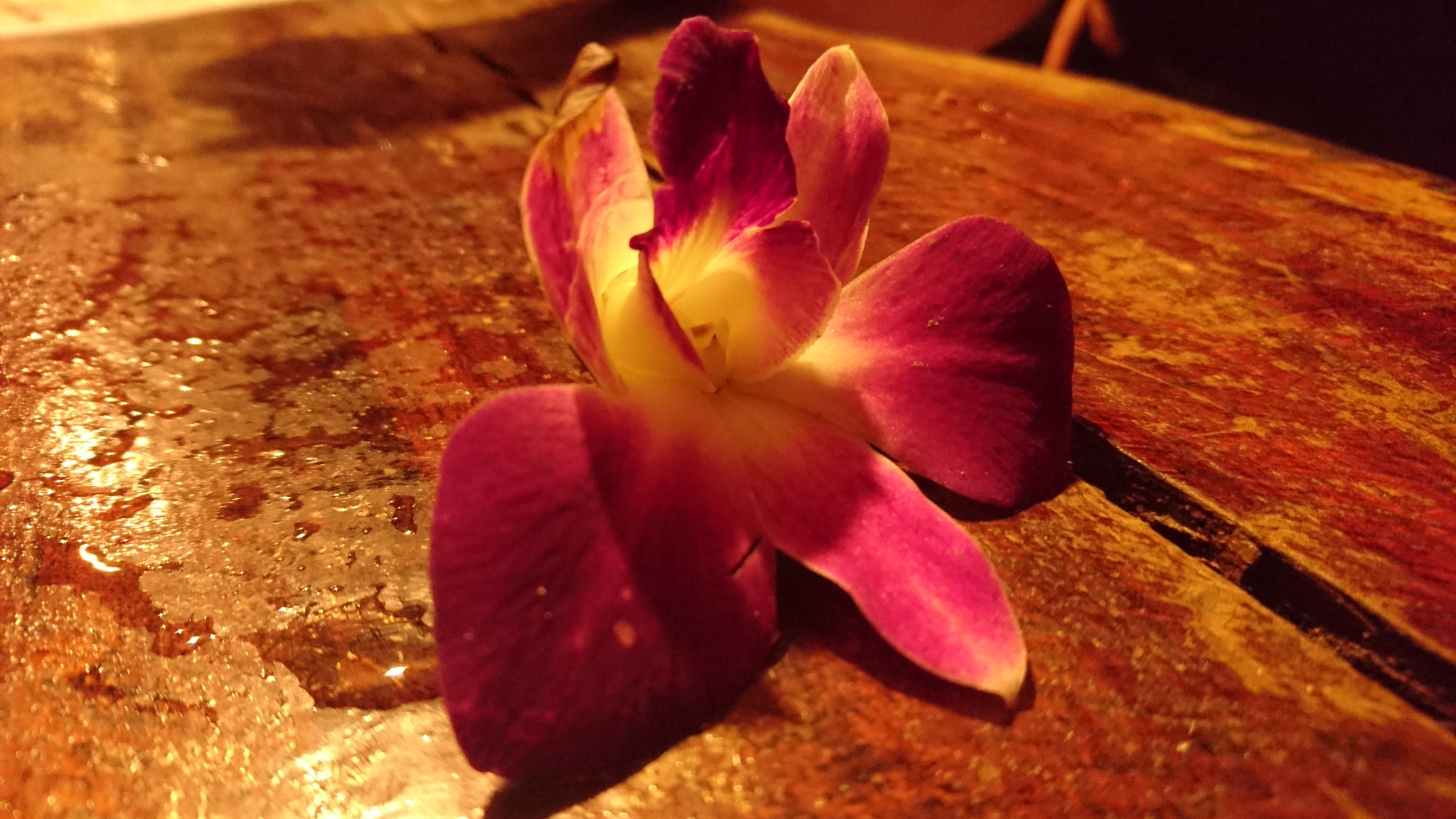 Sony Xperia Z5 sample photo