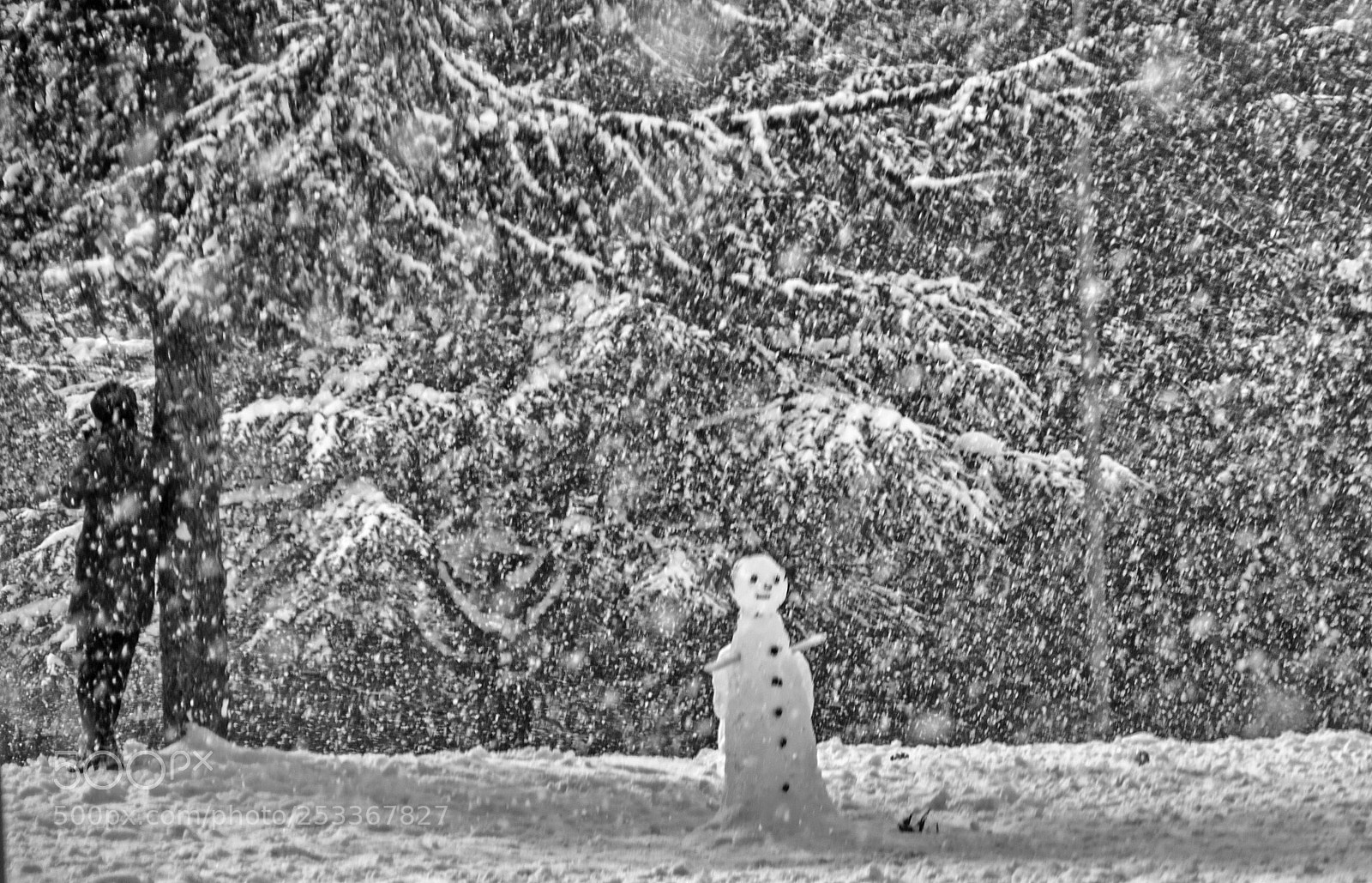 Canon EOS 50D sample photo. Snowy day photography