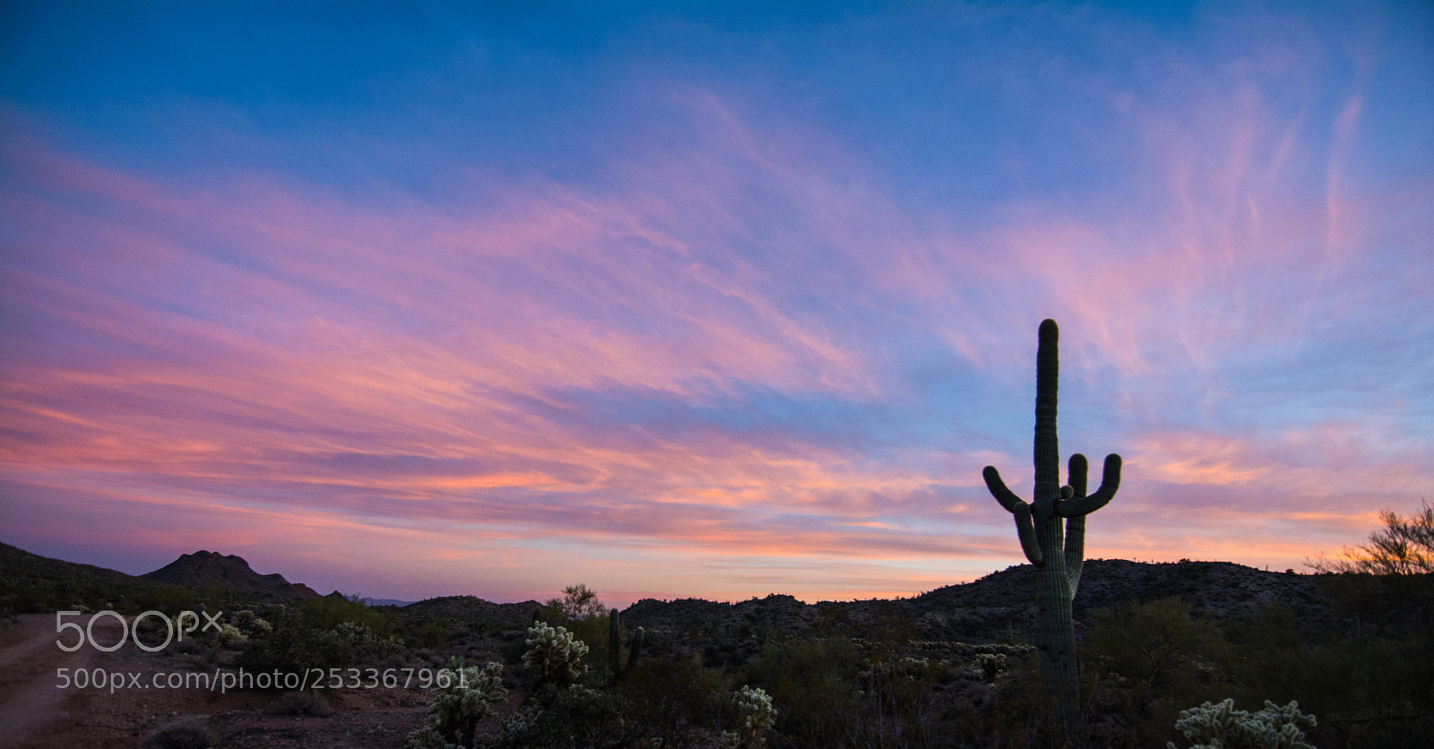 Nikon D7100 sample photo. Arizona desert ii photography