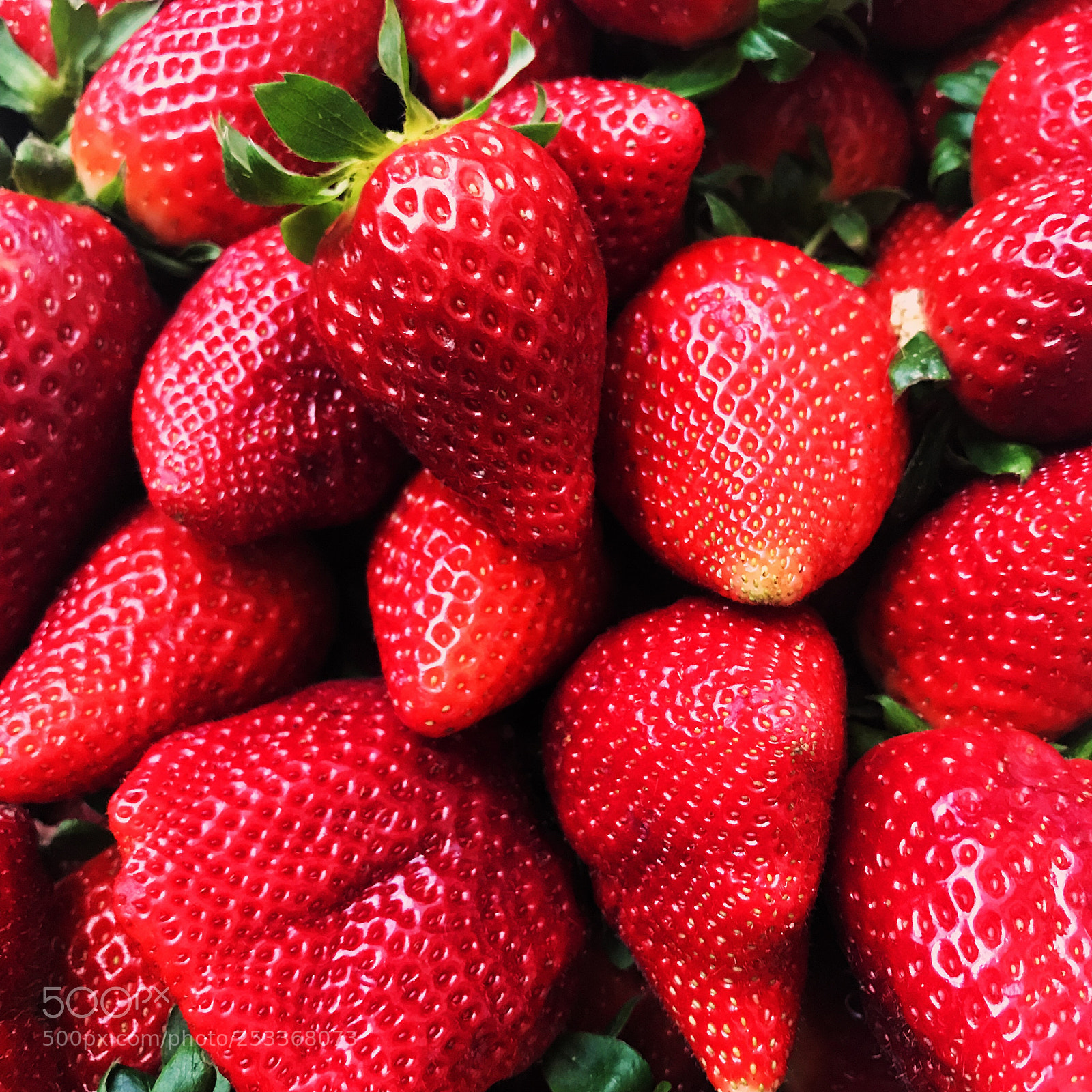 Apple iPhone 7 Plus sample photo. Fresones? photography