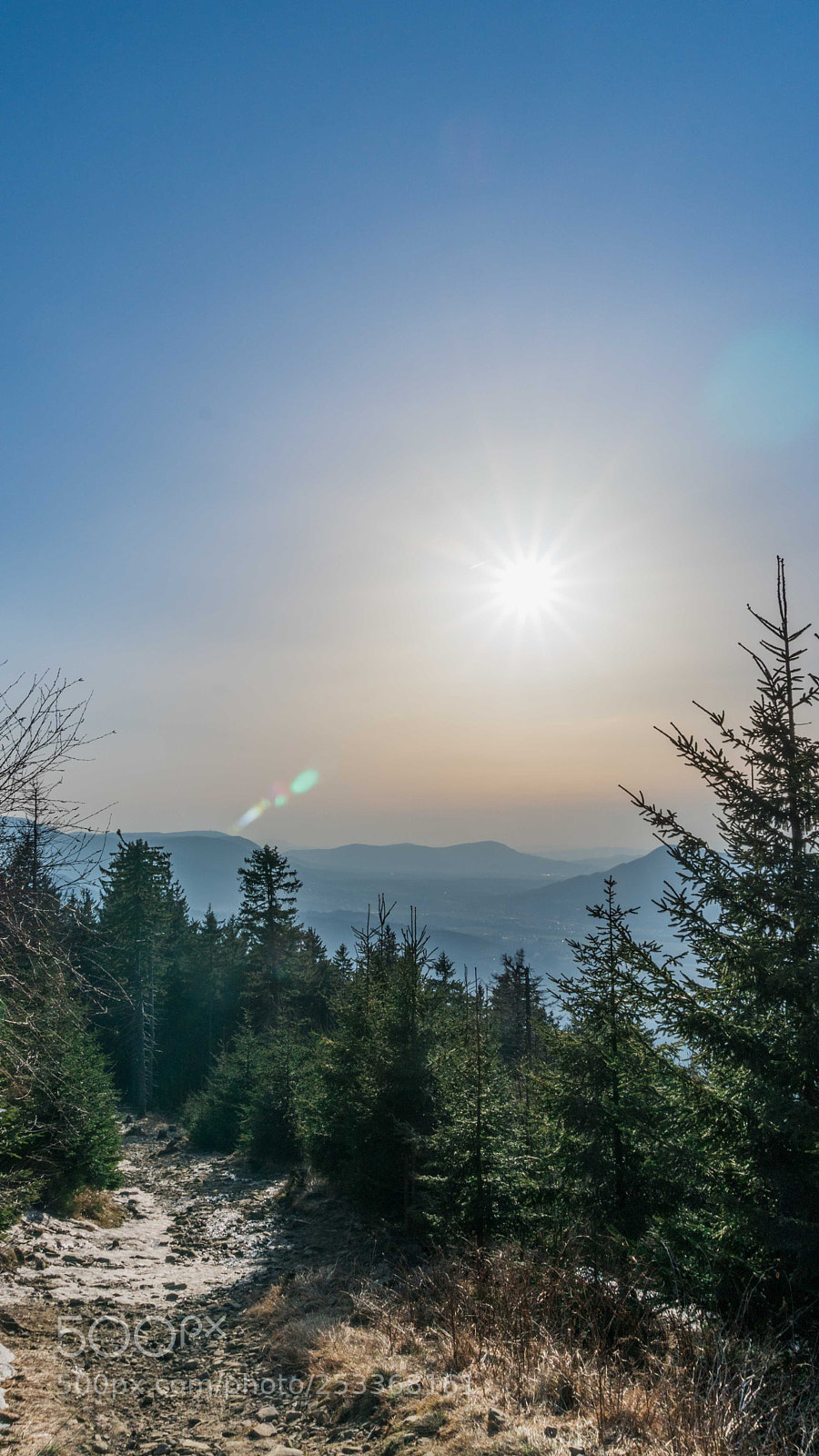 Sony a6300 sample photo. Dsc01798-2.jpg photography
