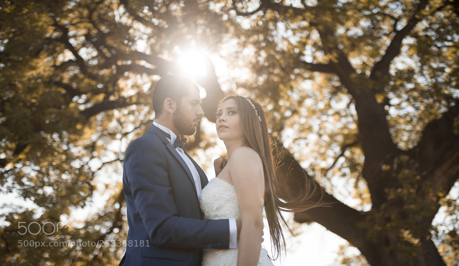 Nikon D810 sample photo. Untitled photography