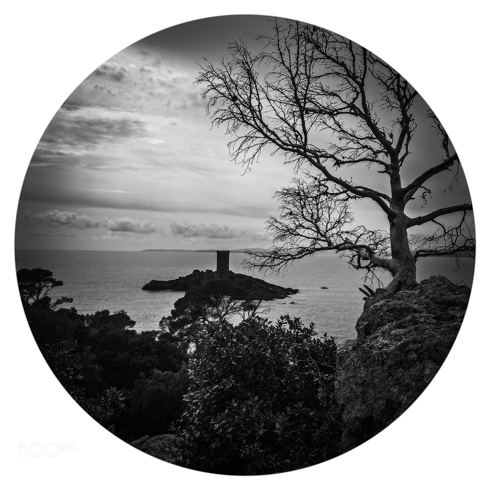 OnePlus A3003 sample photo. Esterel photography