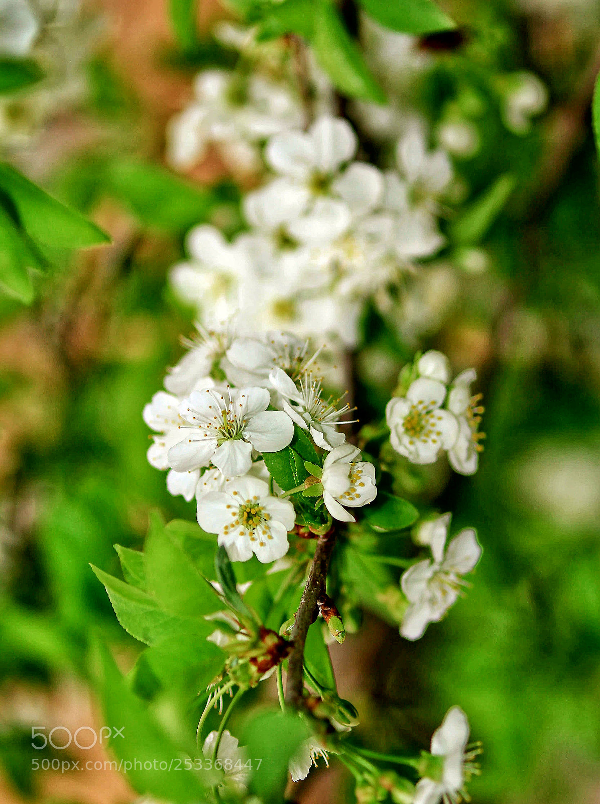 Canon EOS 7D sample photo. Untitled photography