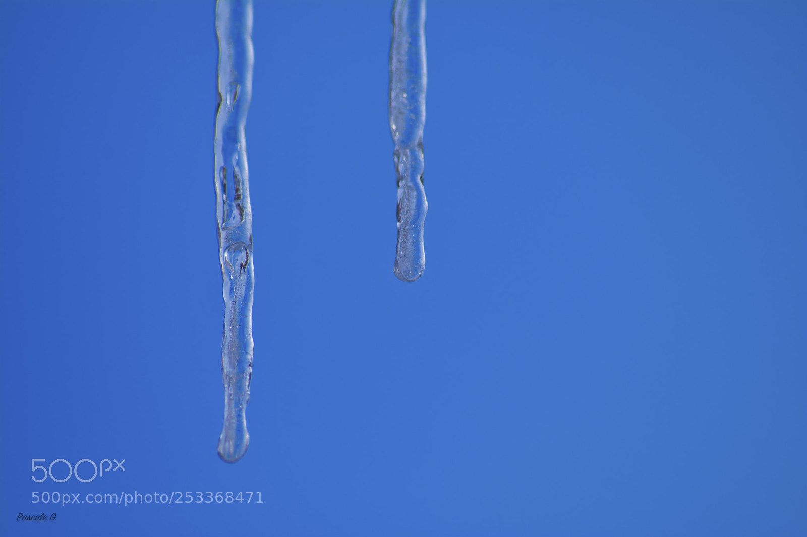 Nikon D7100 sample photo. Natural art photography