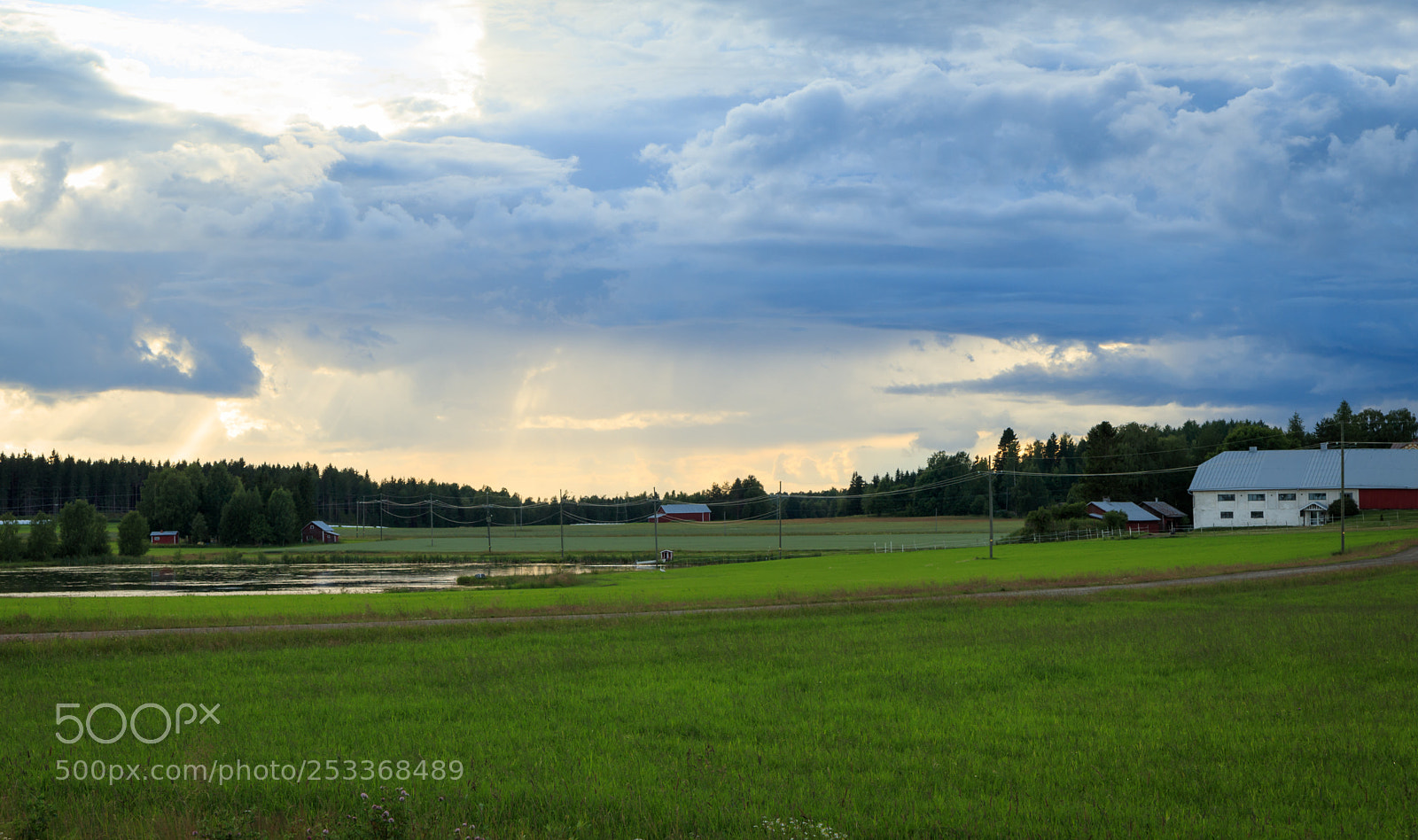 Canon EOS 80D sample photo. Before the rain photography