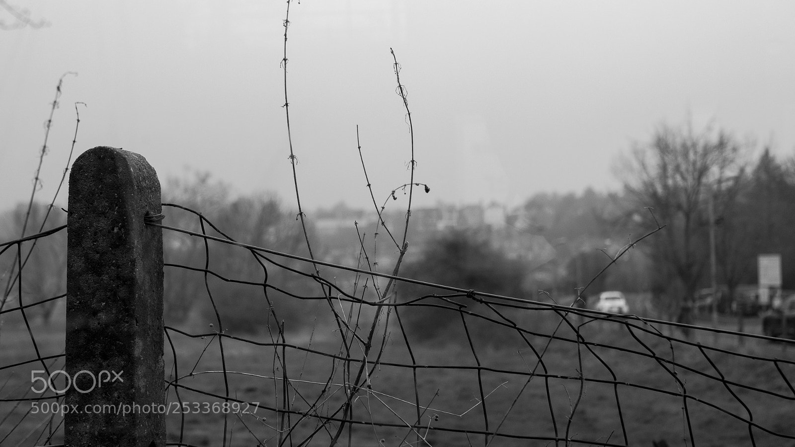 Panasonic Lumix DMC-GX7 sample photo. Fence photography