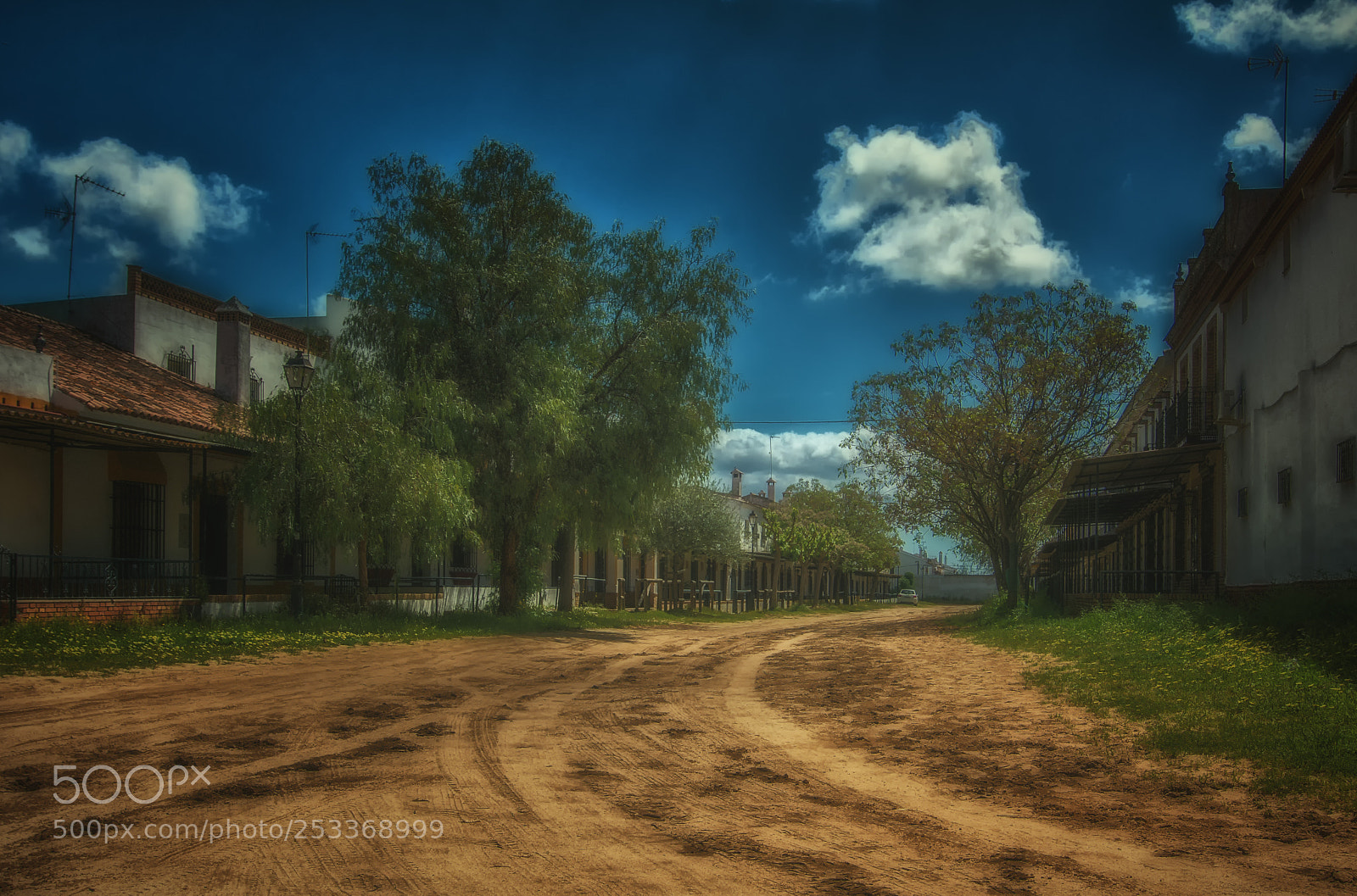 Nikon D7100 sample photo. High noon photography