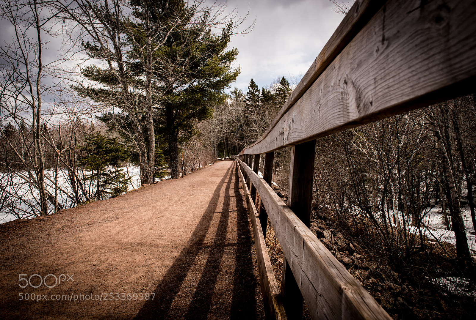 Nikon D810 sample photo. Irish town park photography