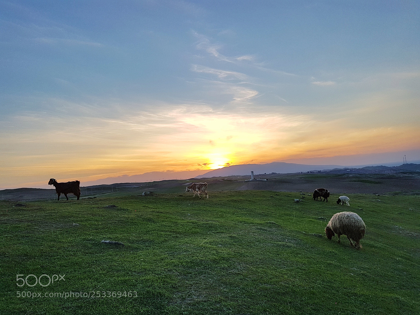 Samsung Galaxy S7 Edge sample photo. Spring sunset photography