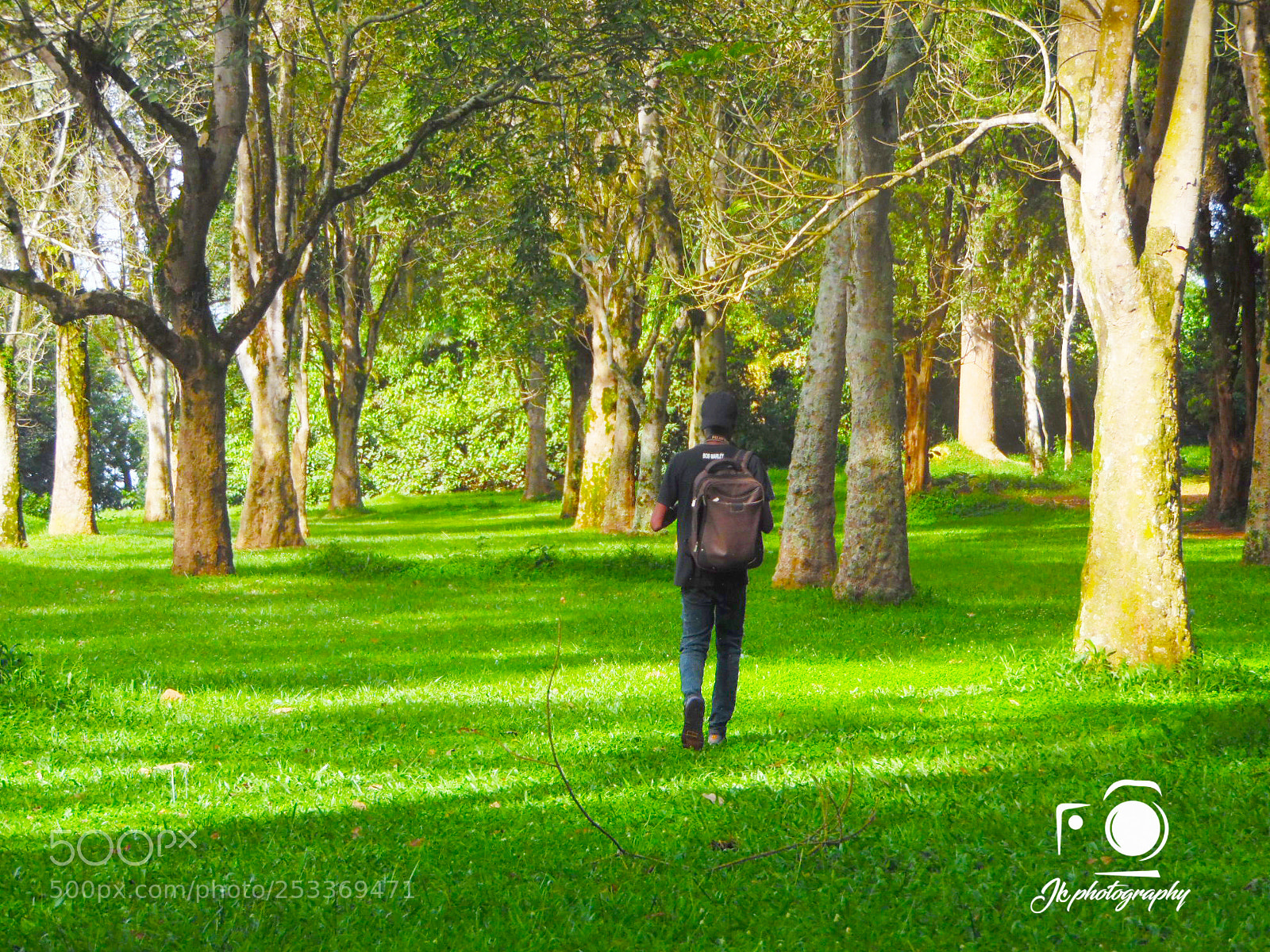 Samsung WB1100F/WB1101F/WB1102F sample photo. Botan photography