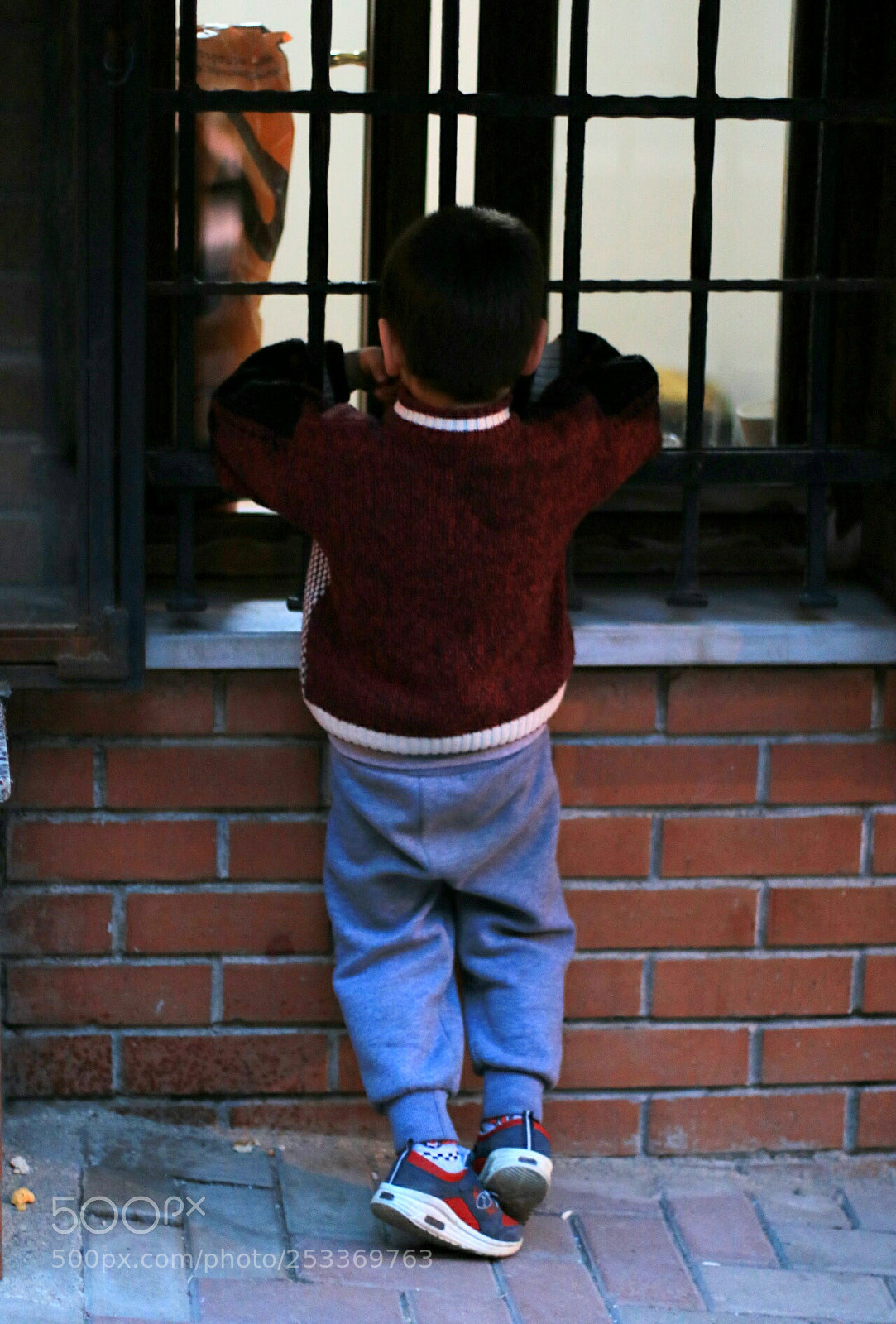 Canon EOS 750D (EOS Rebel T6i / EOS Kiss X8i) sample photo. Just looking photography