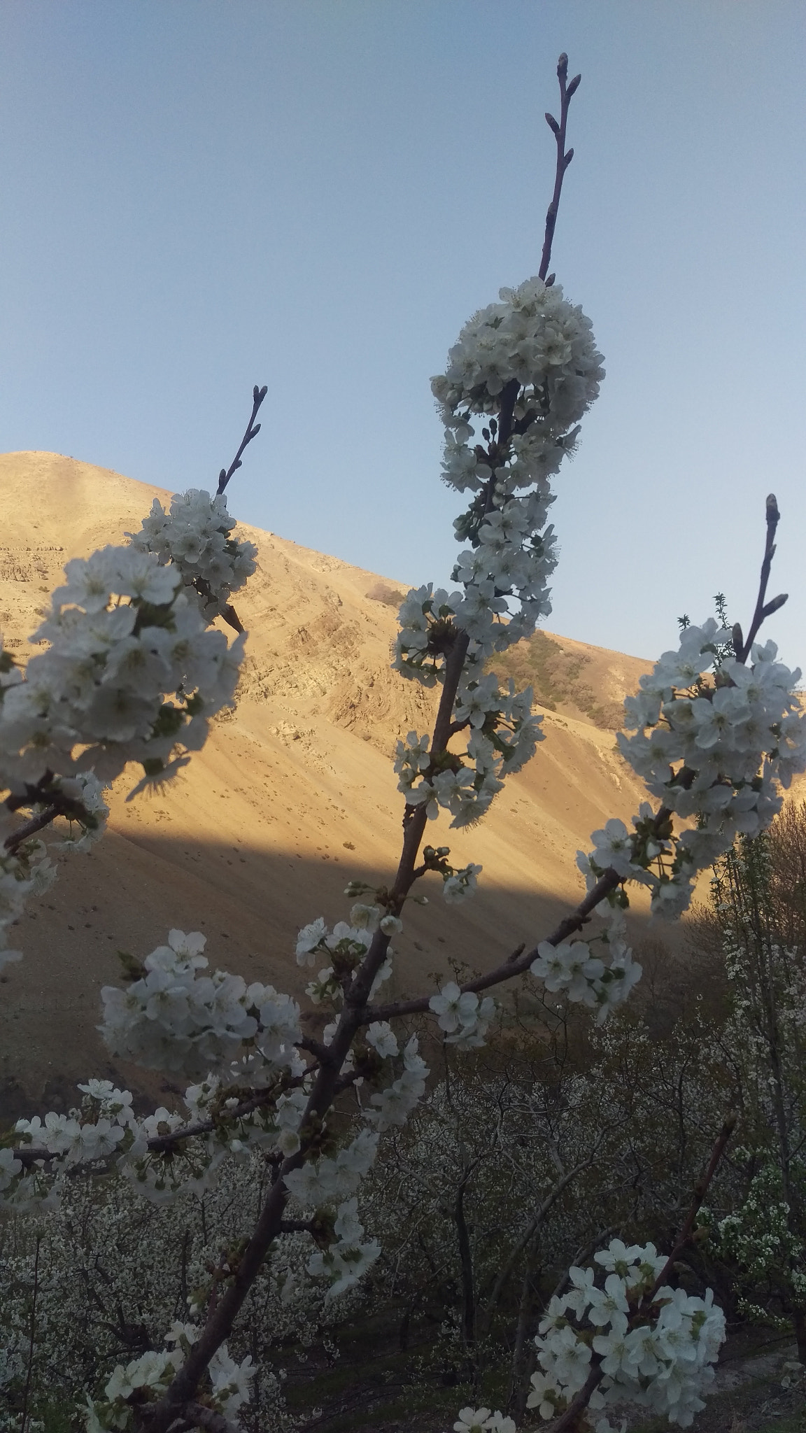 HTC ONE M9 sample photo. Till tomorrow photography
