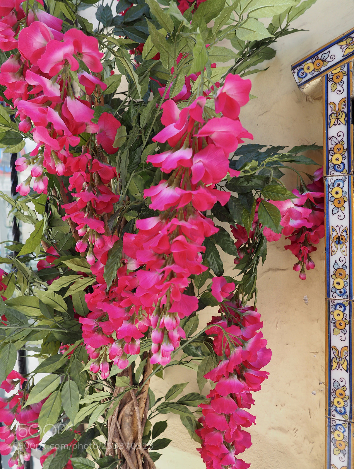 Olympus OM-D E-M10 II sample photo. The edge of a photography