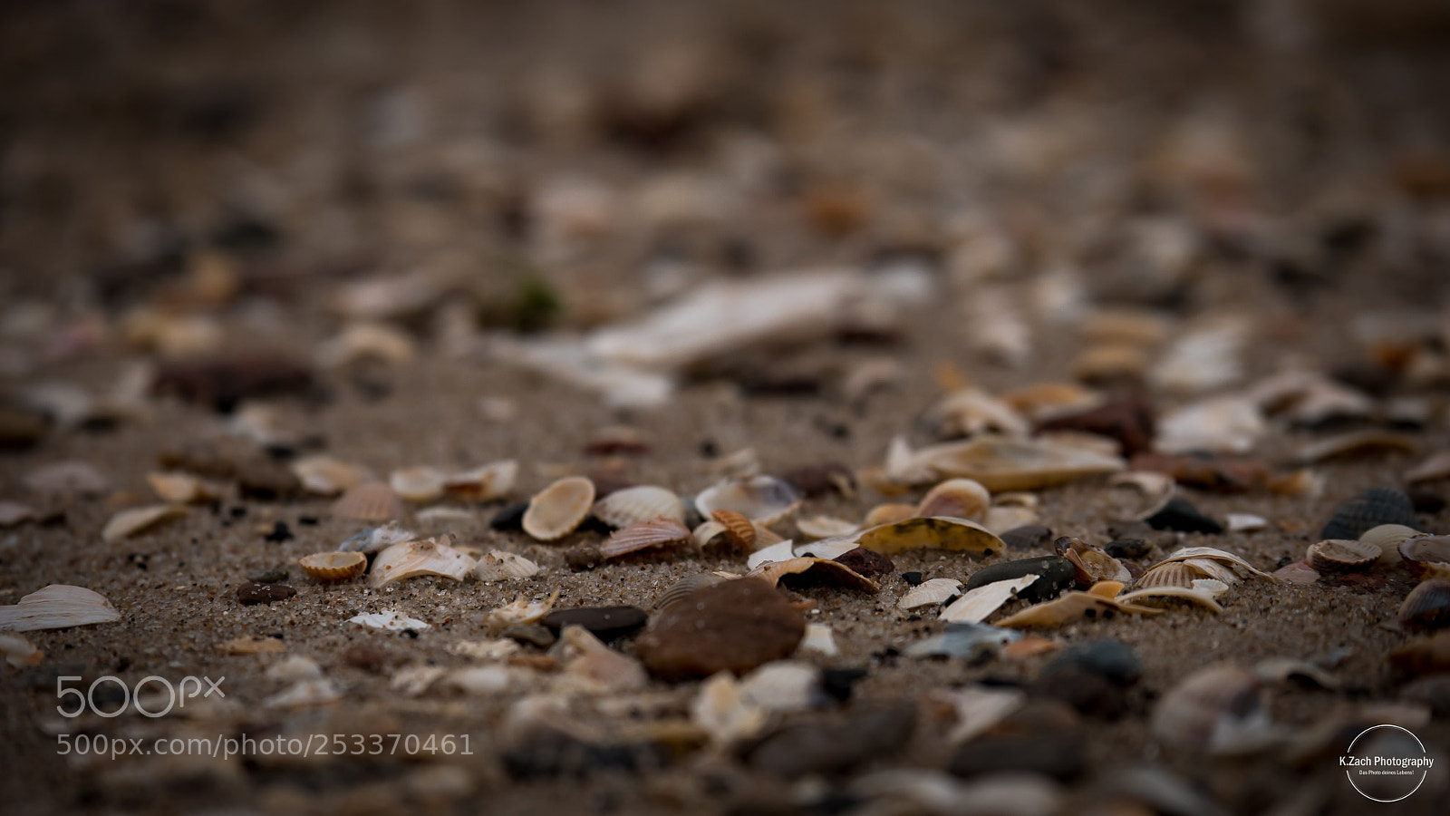 Panasonic Lumix DMC-GX85 (Lumix DMC-GX80 / Lumix DMC-GX7 Mark II) sample photo. The mussel way photography