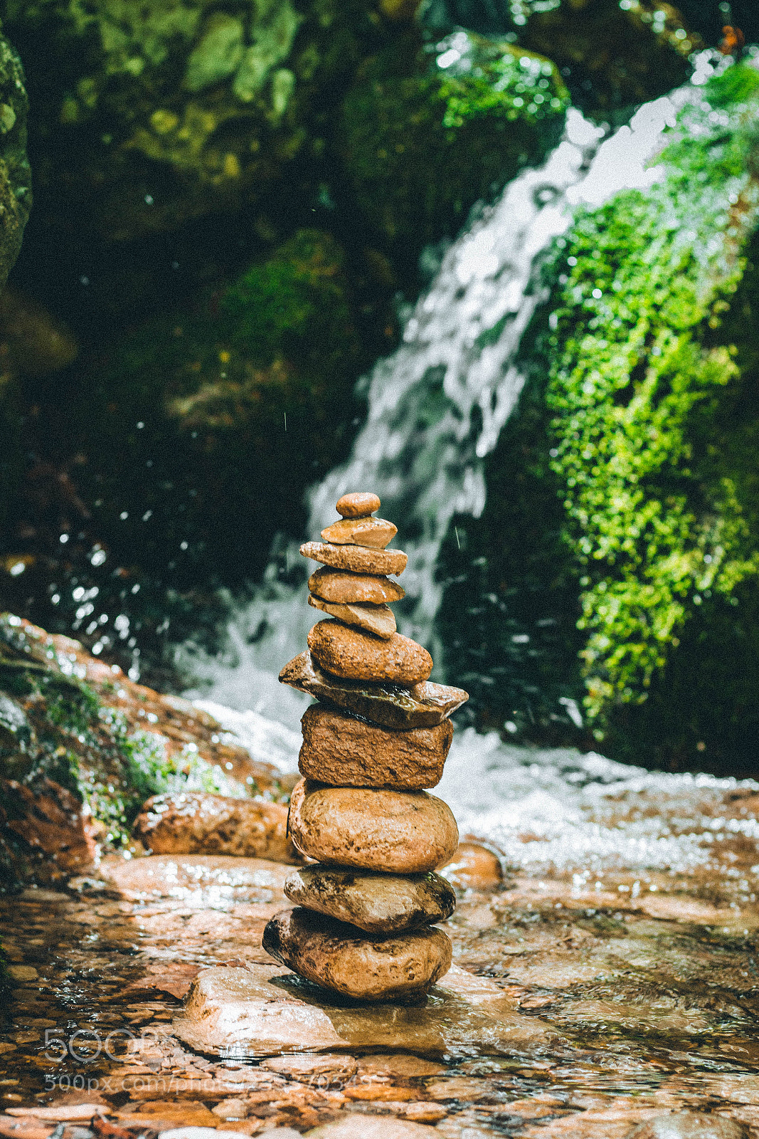 Canon EOS 70D sample photo. Relax in nature photography