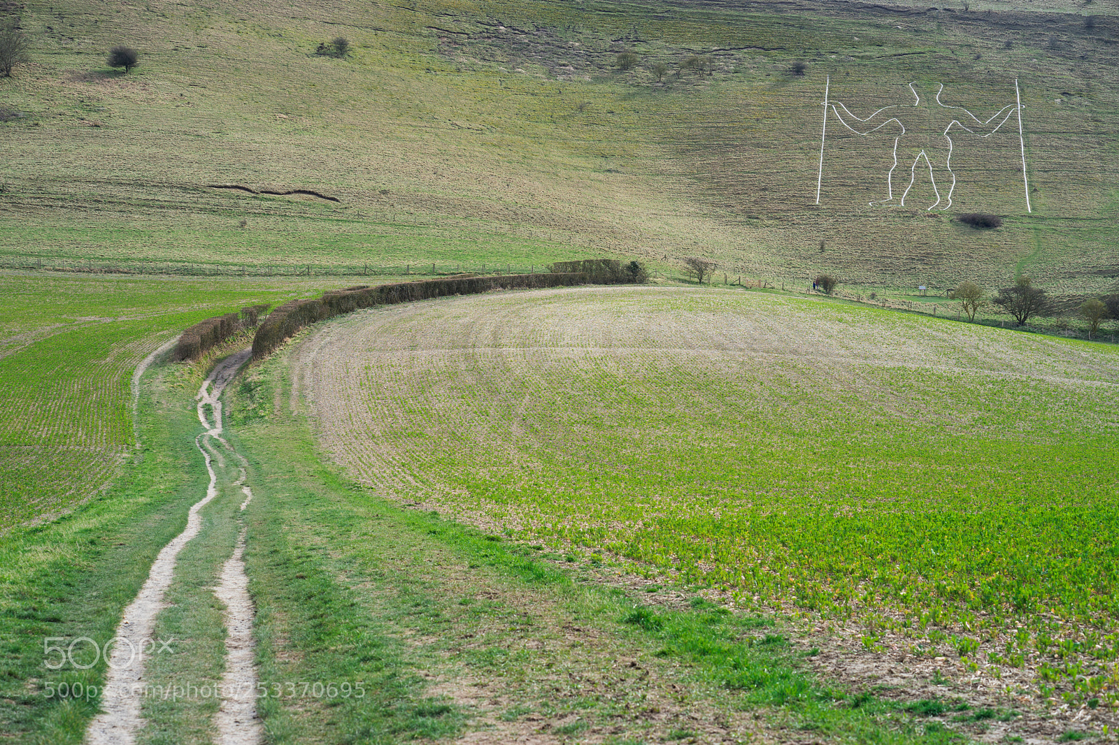 Sony a7 II sample photo. The long man photography