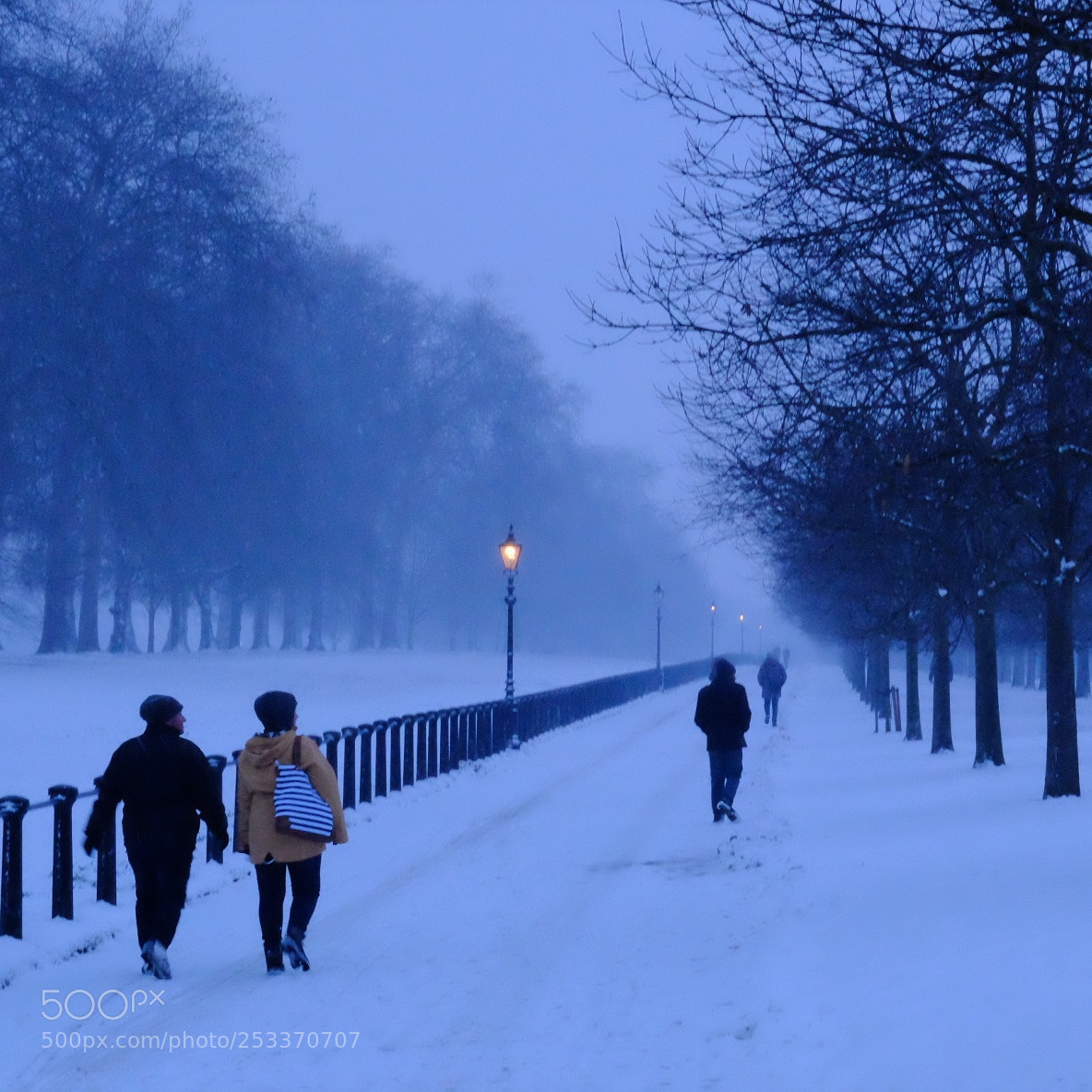 Fujifilm X-T1 sample photo. Winter stroll photography