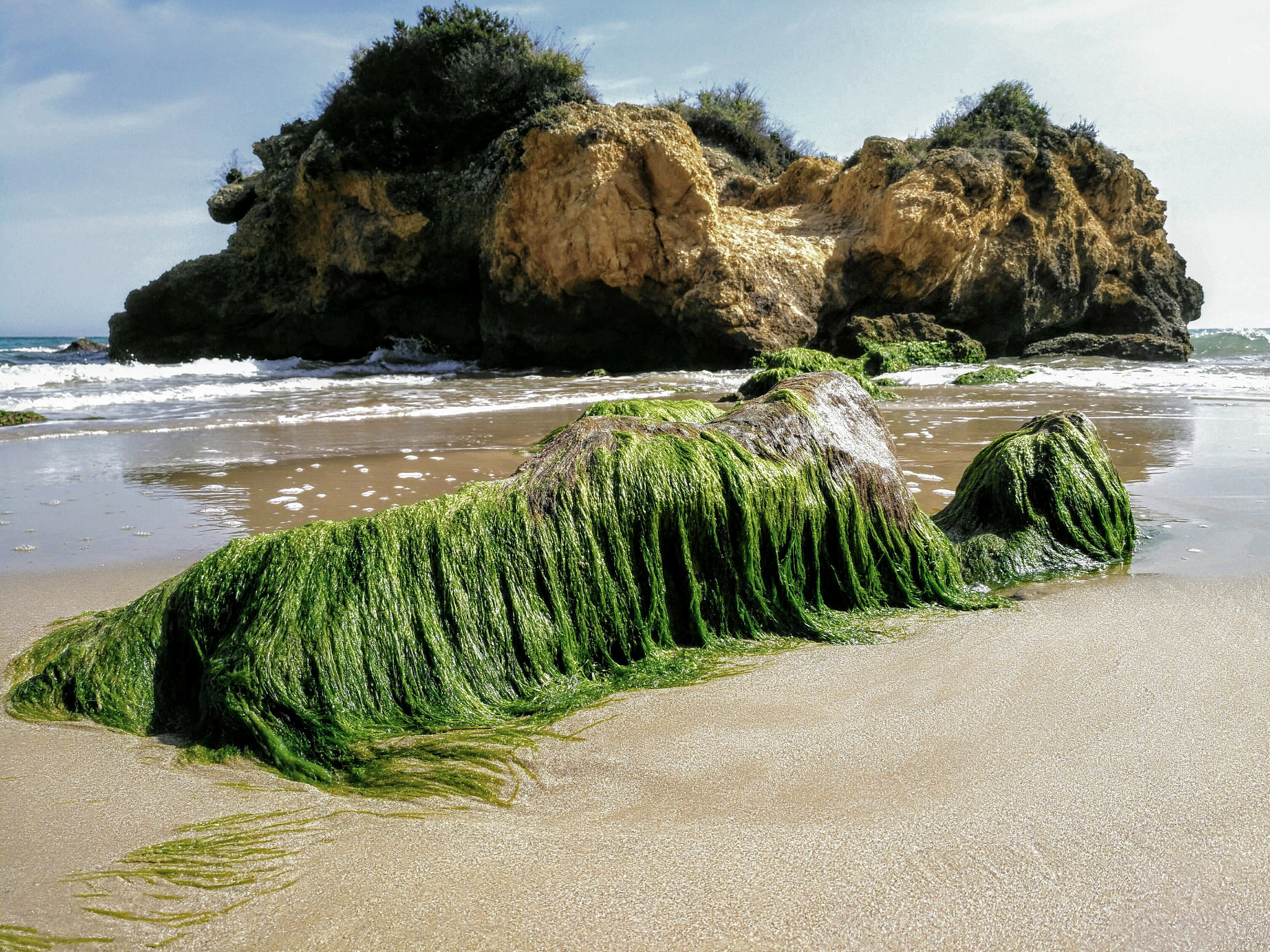 HUAWEI nova plus sample photo. M.g. green rocks on the beach photography