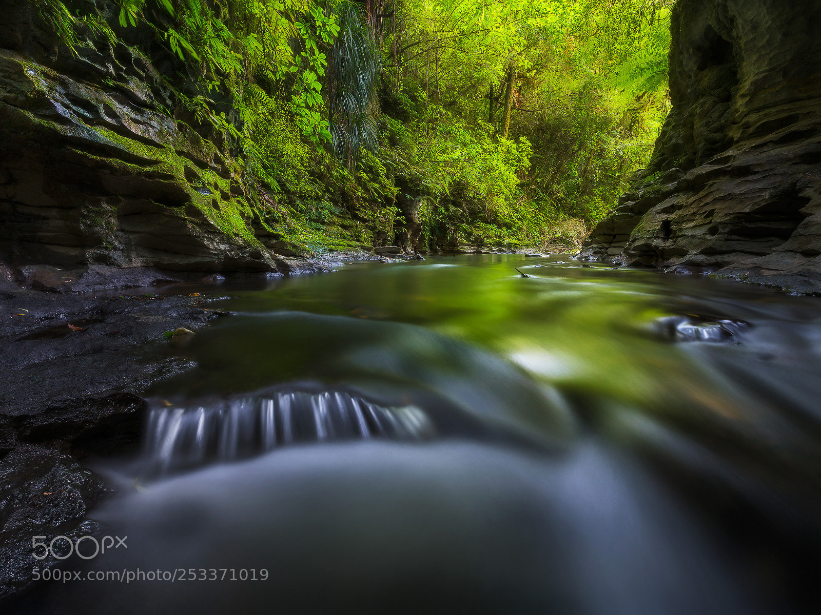 Sony a7R II sample photo. Ruakuristream photography
