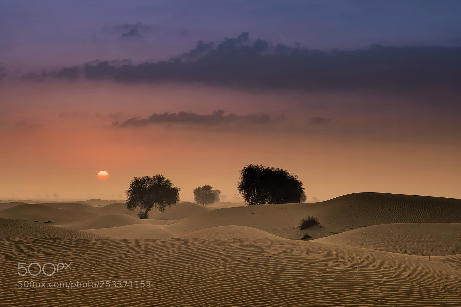 Sony a7R II sample photo. Pastel mood photography