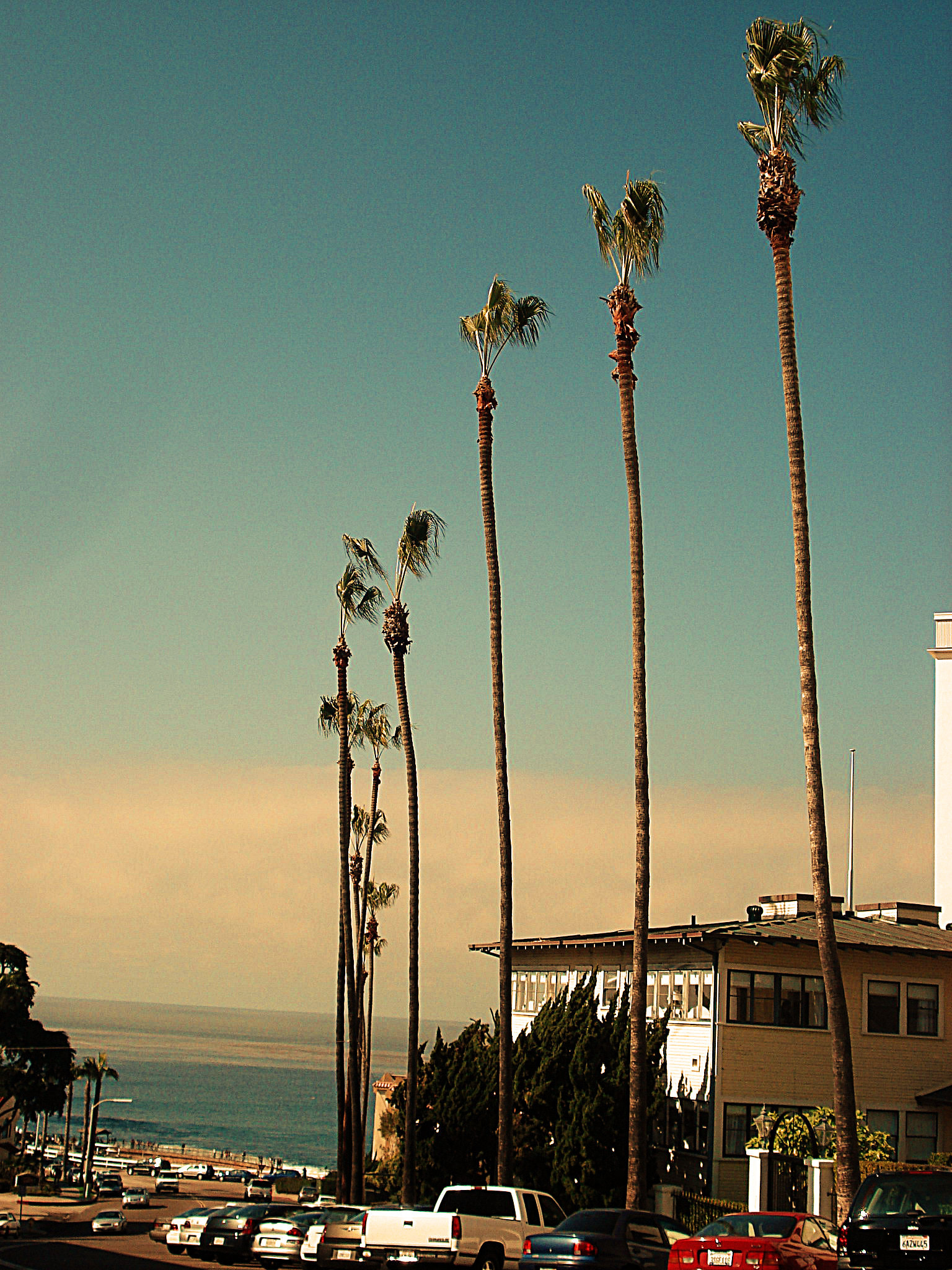 Sony DSC-W50 sample photo. La jolla,sd photography