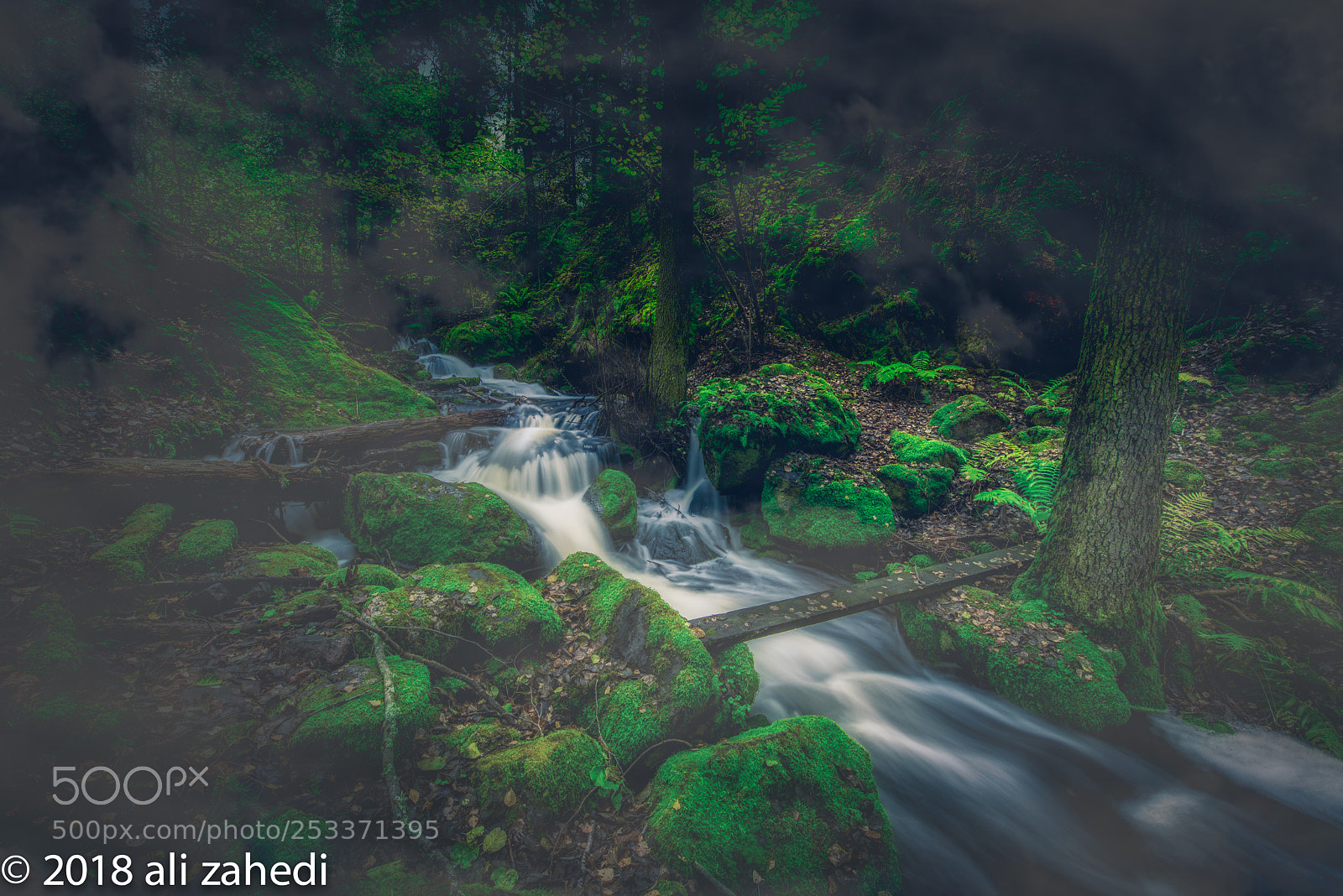 Nikon D810 sample photo. Stream n photography