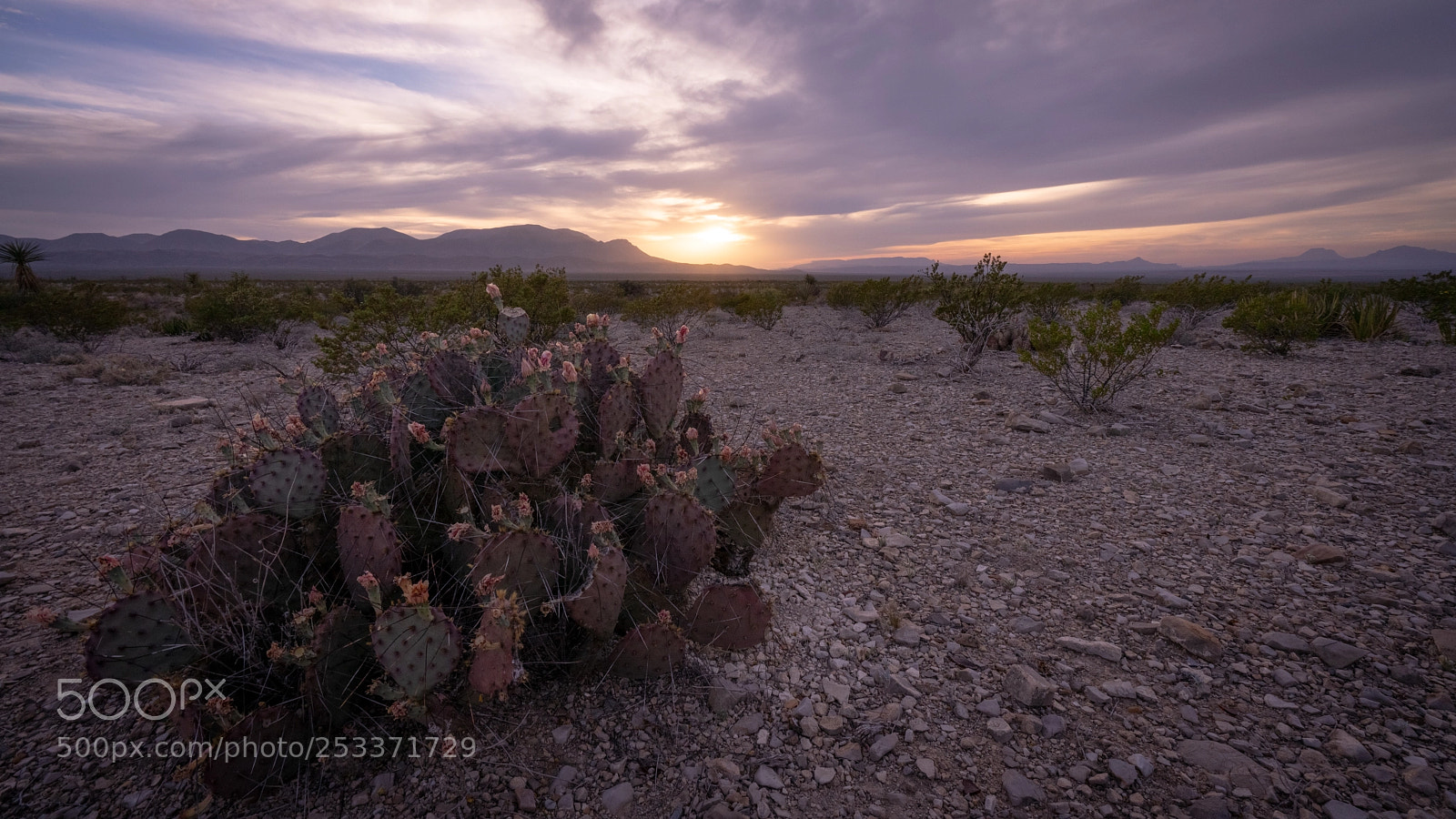 Sony a7R II sample photo. Sunset at big bend photography