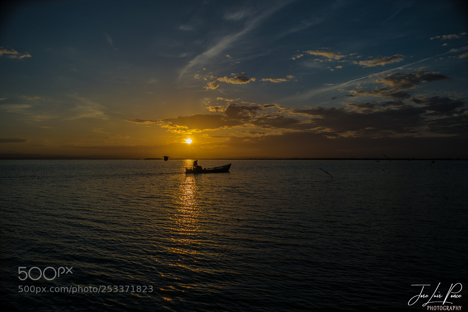 Nikon D3300 sample photo. Albufera (valencia) photography