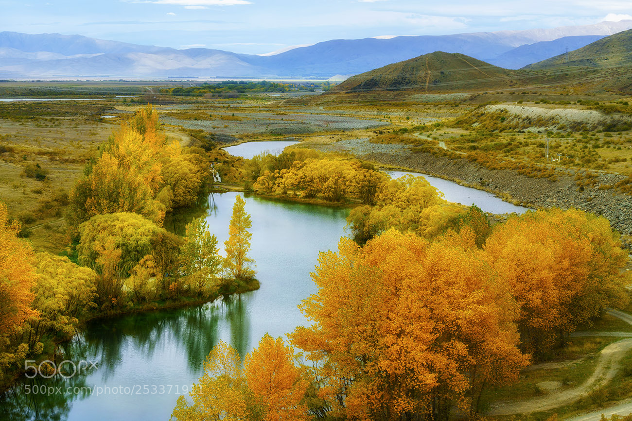 Sony a7R II sample photo. Autumn in south island photography