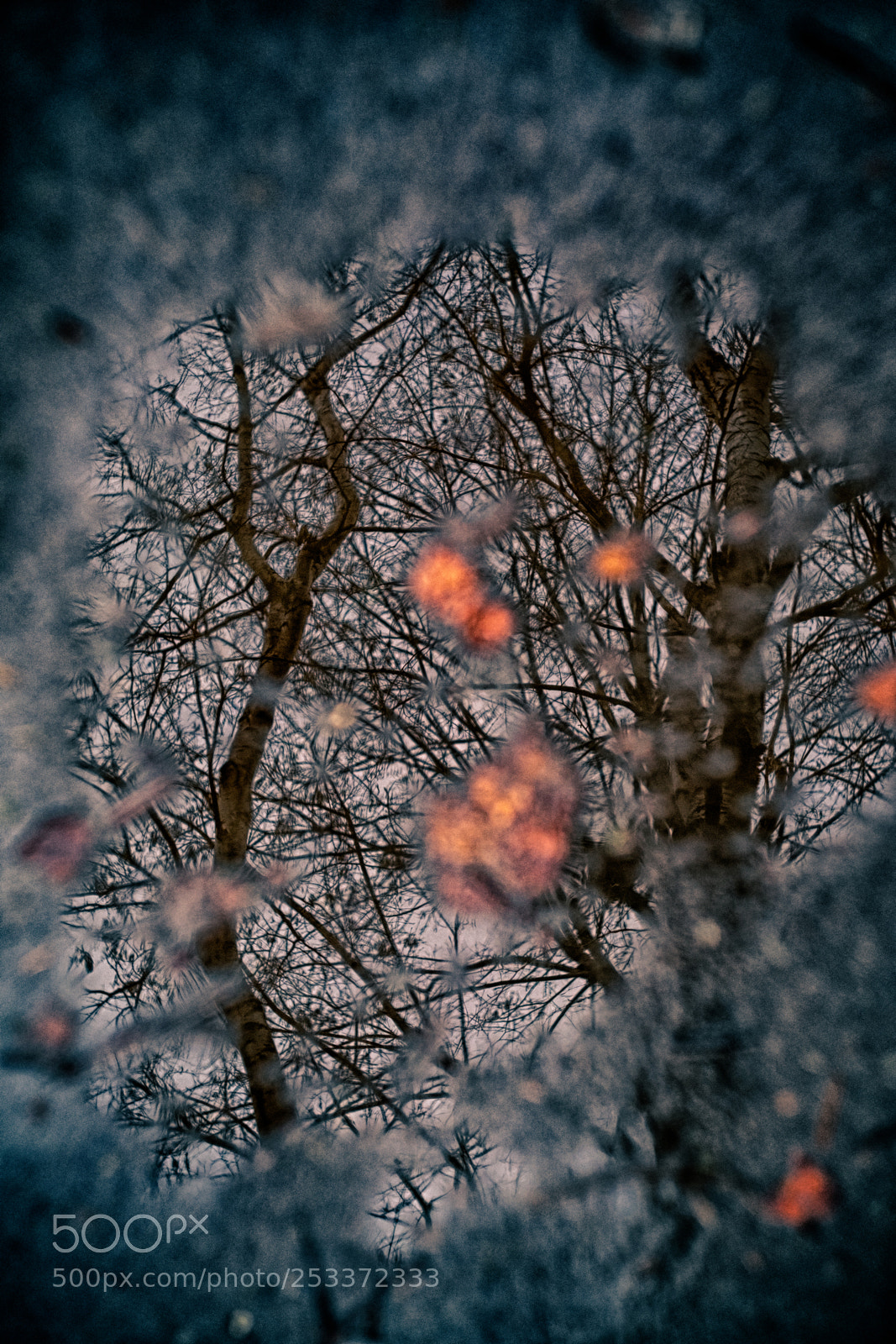 Fujifilm X-T1 sample photo. Puddle photography