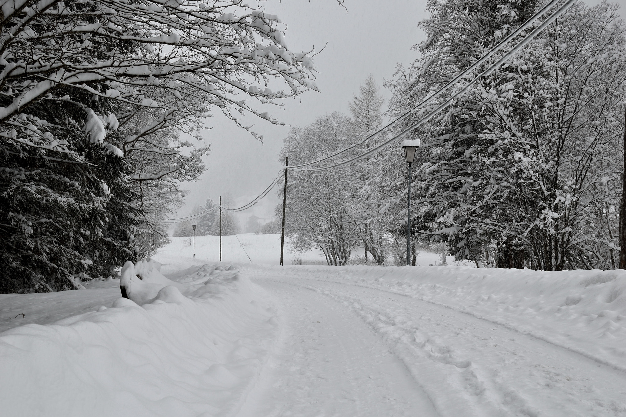 Nikon D5500 sample photo. Snowing photography