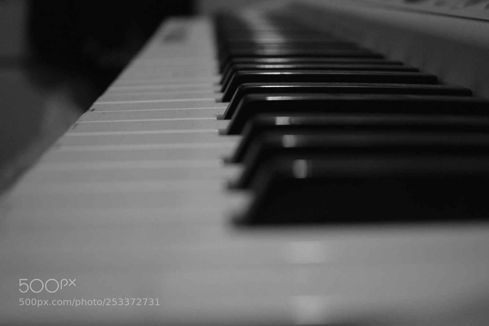 Nikon D3300 sample photo. Piano keys photography