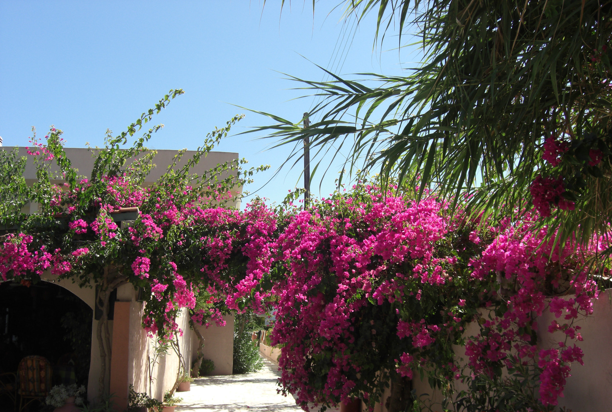 CASIO EX-Z1050 sample photo. I love greece photography