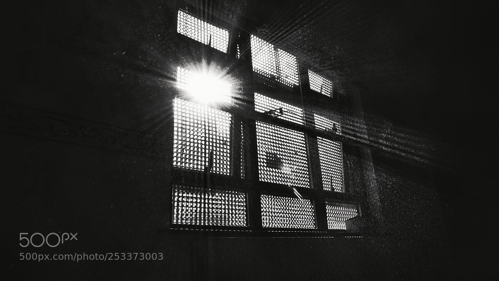 Sony a6000 sample photo. Caged in. photography